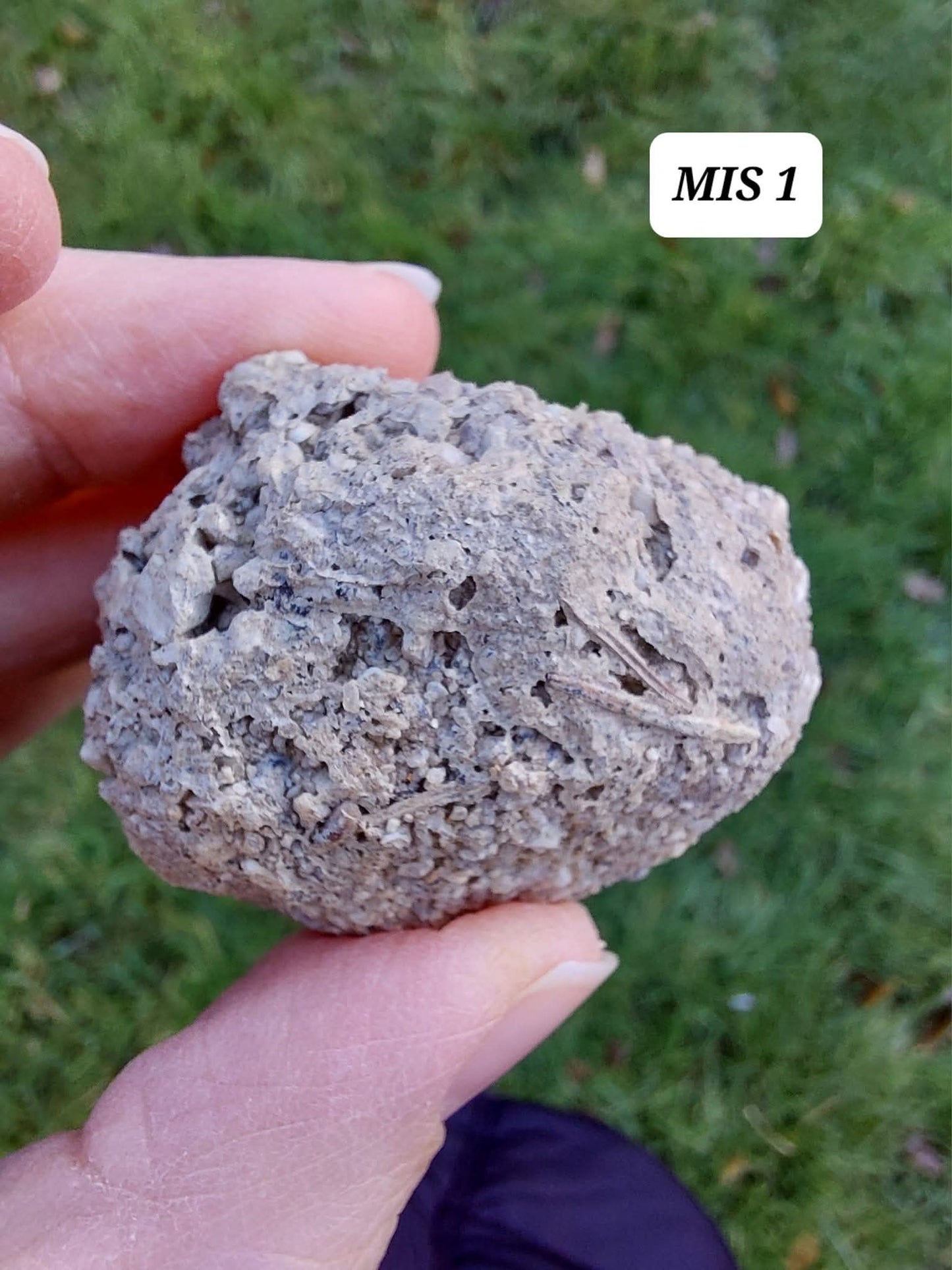 Moldavite In-Situ (in matrix), Besednice, Est-13g, Tektite (Ref: MIS1)