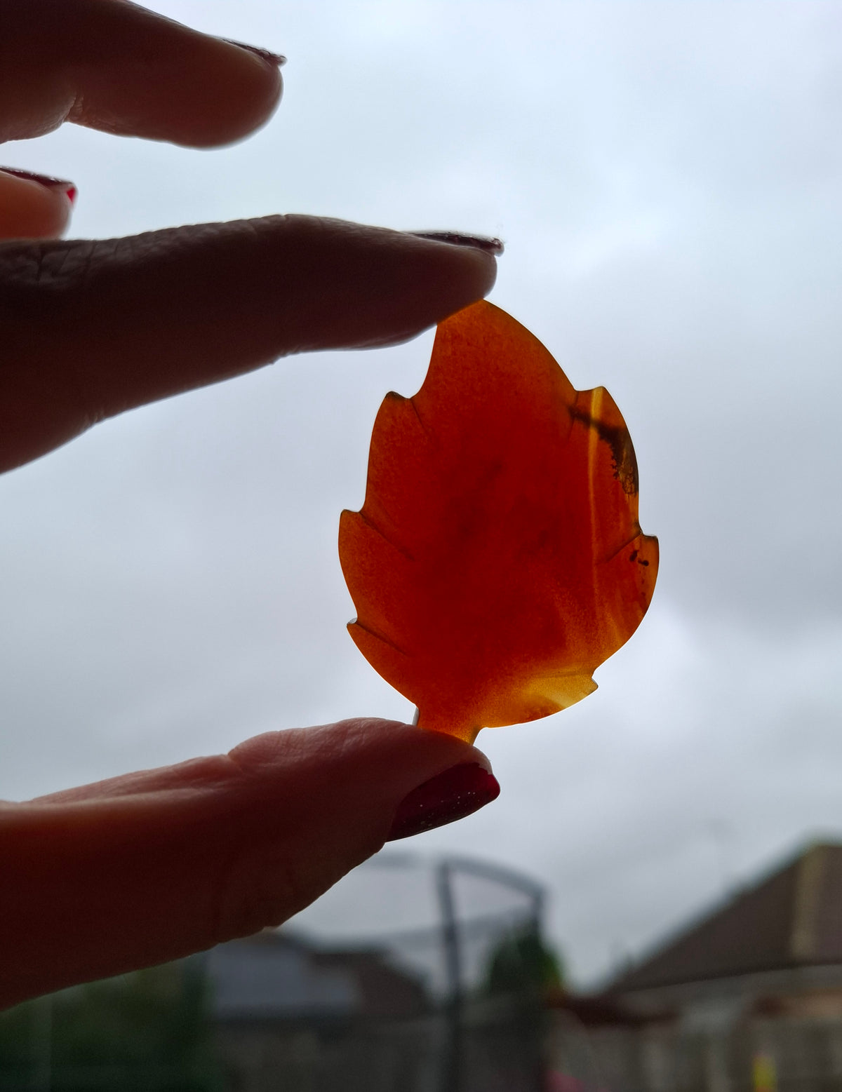 Red Amber Leaf Carving, 7.51g, Fossil (Ref: Leaf12)