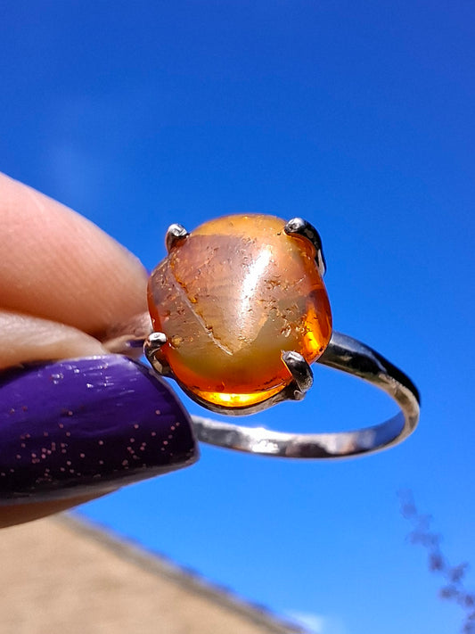 Baltic Amber Ring, size large X, 925 Silver, Fossil (Ref: AR35)