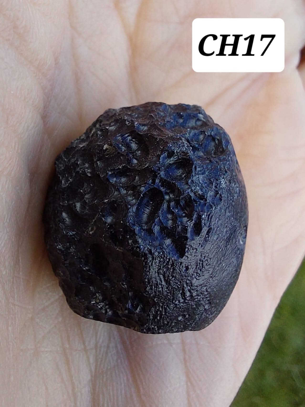 Guang Dong (Chinese), 12.96g, Tektite
