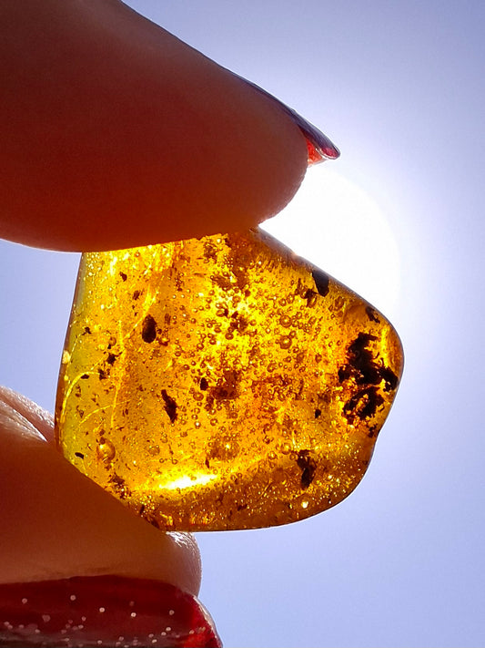 Baltic Amber, 1.59g, Fossil (Ref: A244)