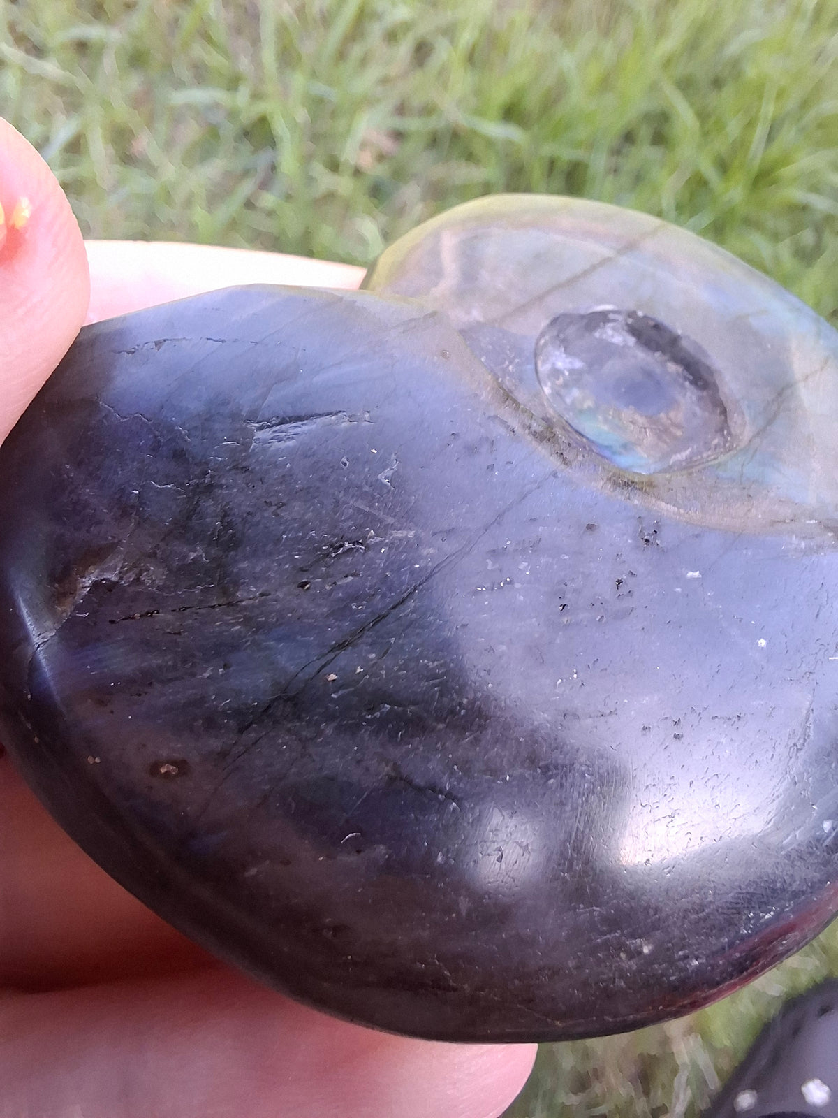 Labradorite Ammonite carving, 96.88g, Crystal (Ref: laba1)