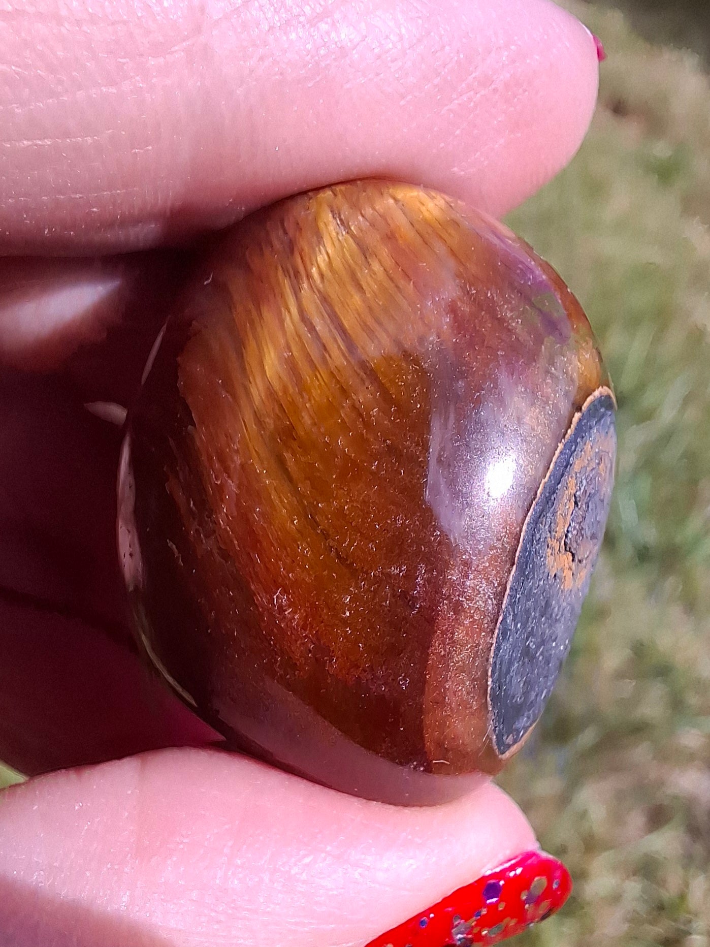 Tigers Eye, Tumble Stone, Crystal (Ref: T136)