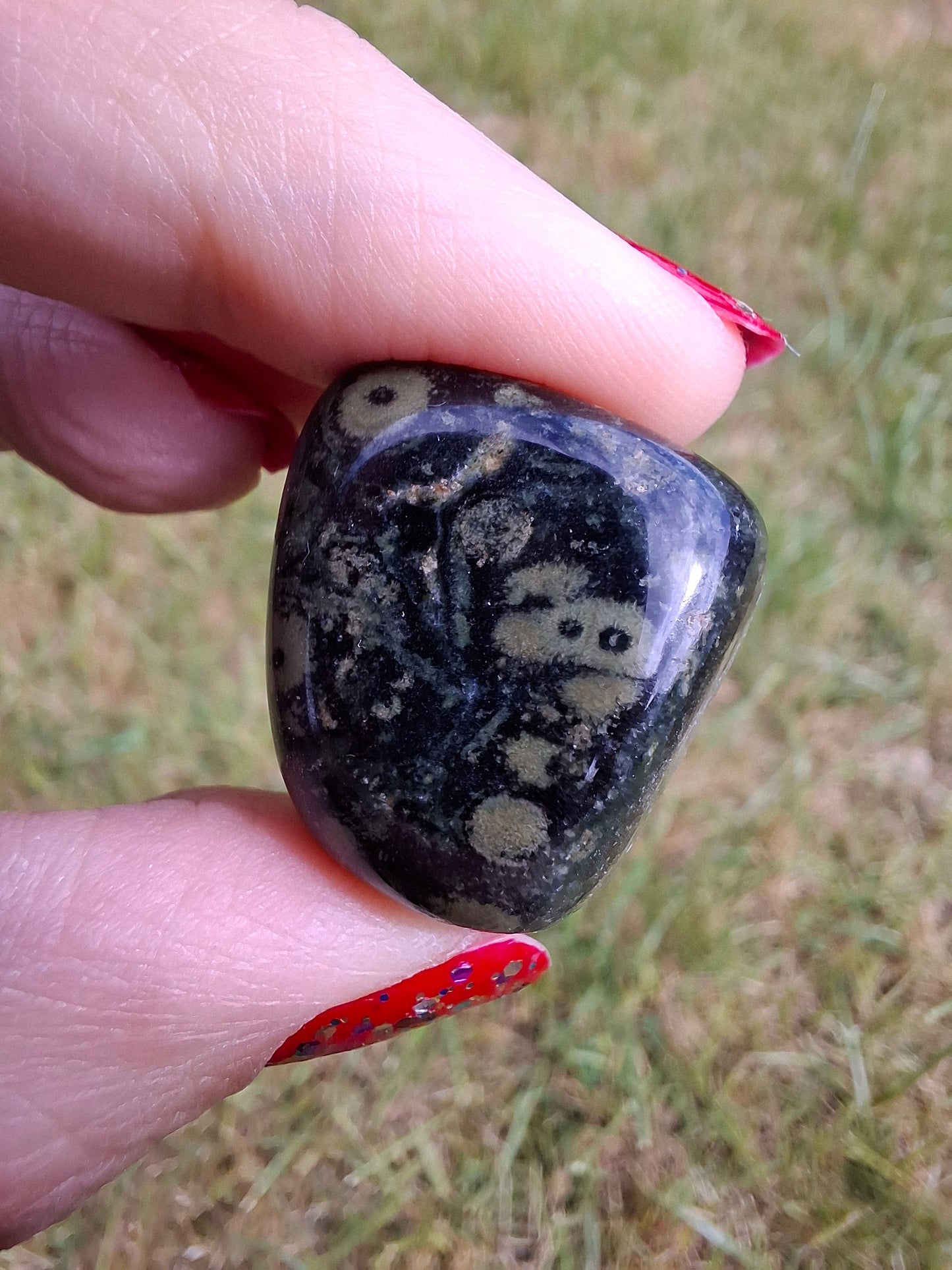 Kambaba Jasper, Tumble Stone, Crystal (Ref: T163)