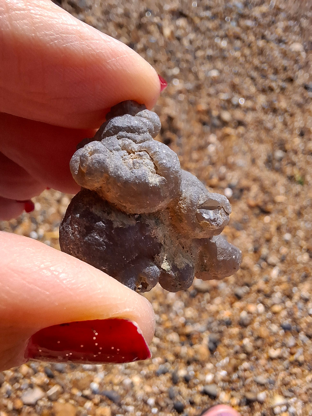 Nebula Chalcedony, 13.45g, Fossil (Ref: NC2)