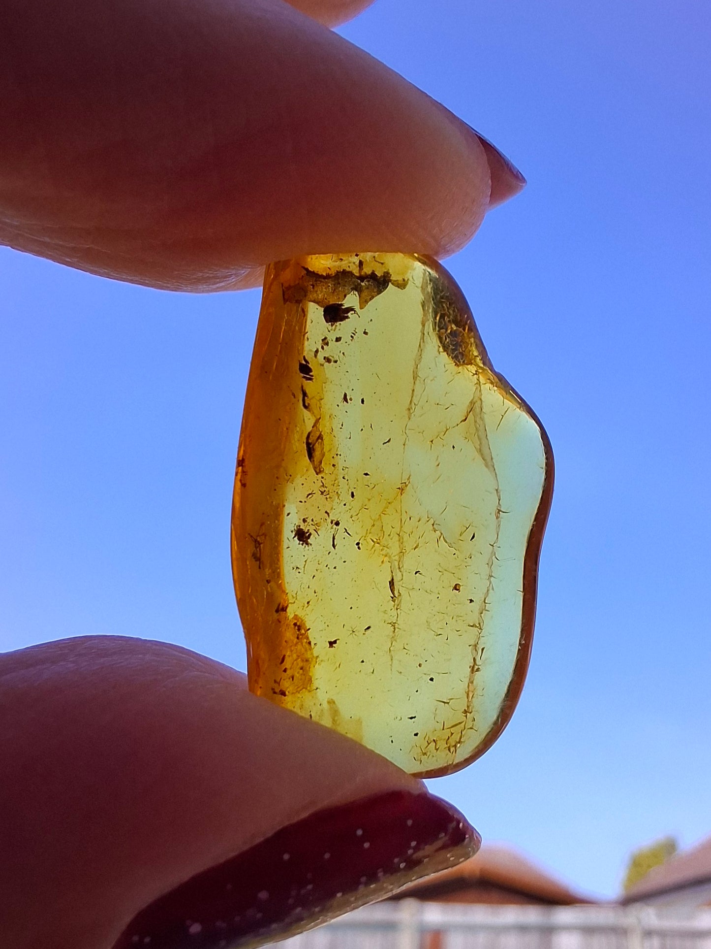 Baltic Amber, 1.23g, Fossil (Ref: A237)