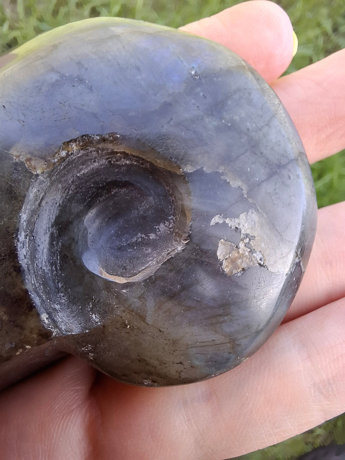 Labradorite Ammonite Carving, 146.90g, Crystal (Ref: laba5)