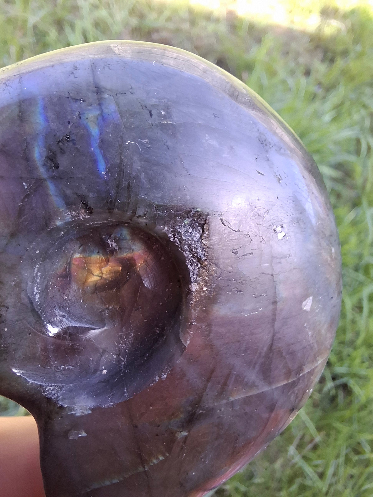 Labradorite Ammonite Carving, 146.90g, Crystal (Ref: laba5)