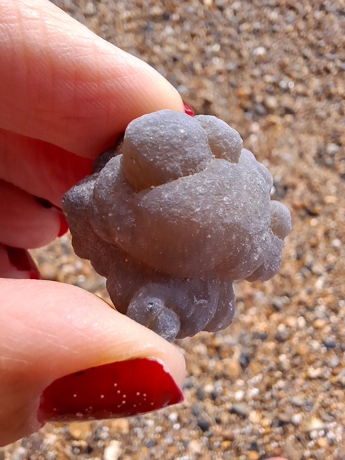 Nebula Chalcedony, 16.57g, Fossil (Ref: NC10)