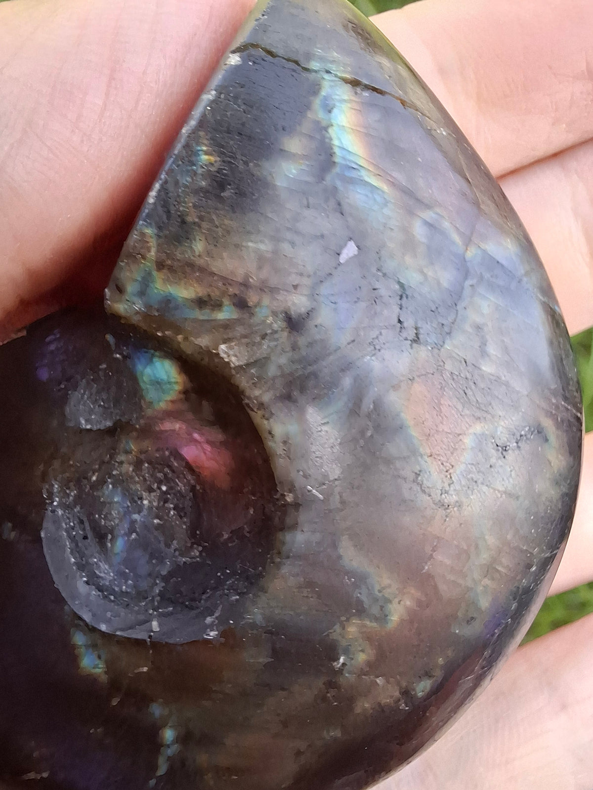 Labradorite Ammonite Carving, 89.31g, Crystal (Ref: laba6)