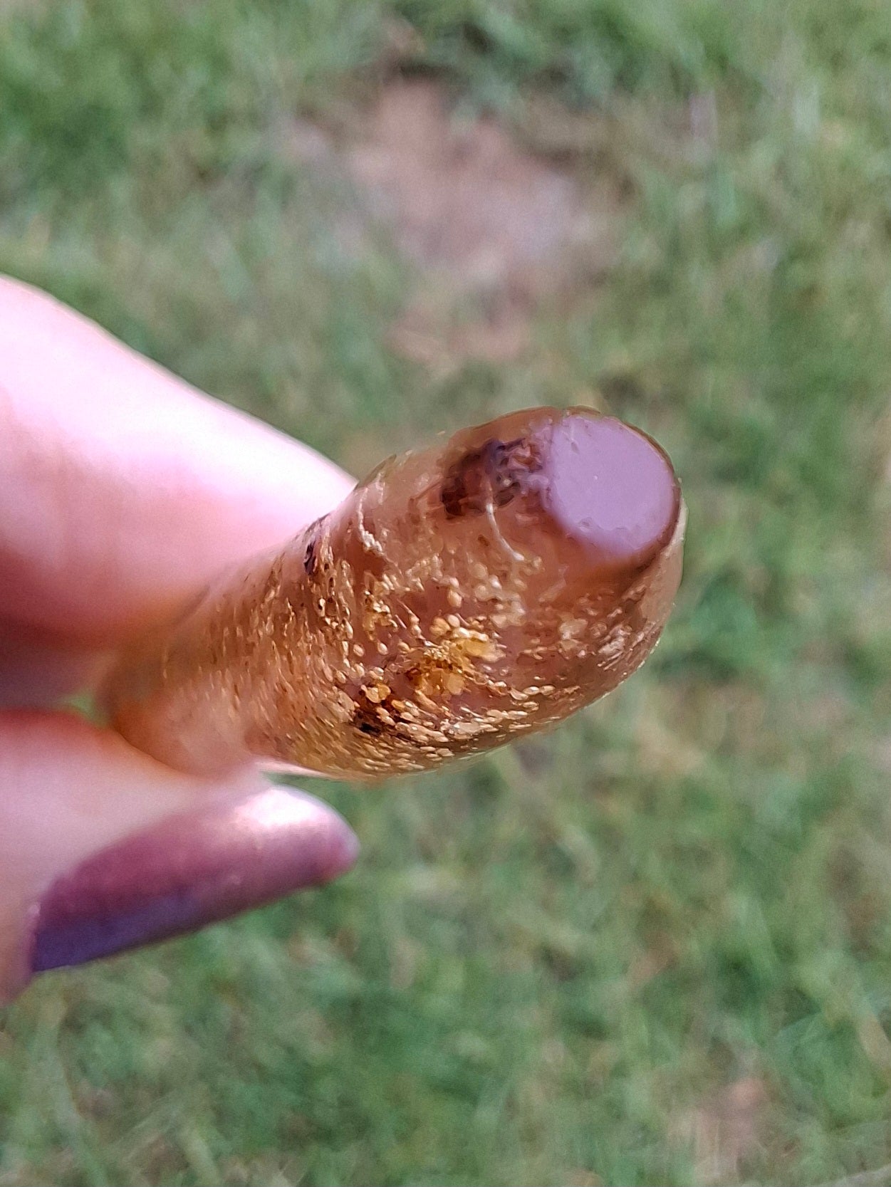 Copal Young Amber with INSECTS inside, 5.46g, Fossil (Ref: CA36)