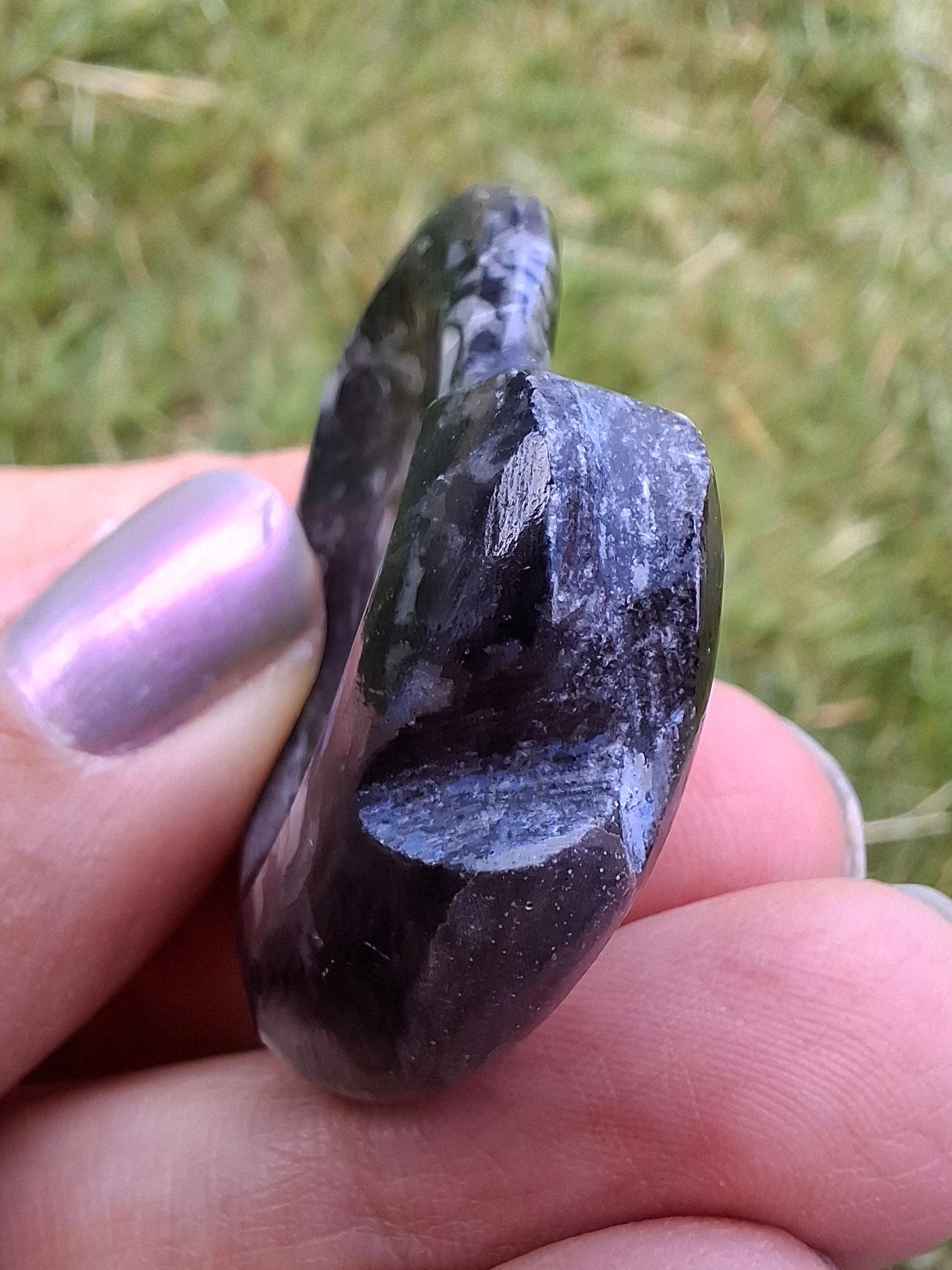Goniatite, Fossil (Ref: GA2)