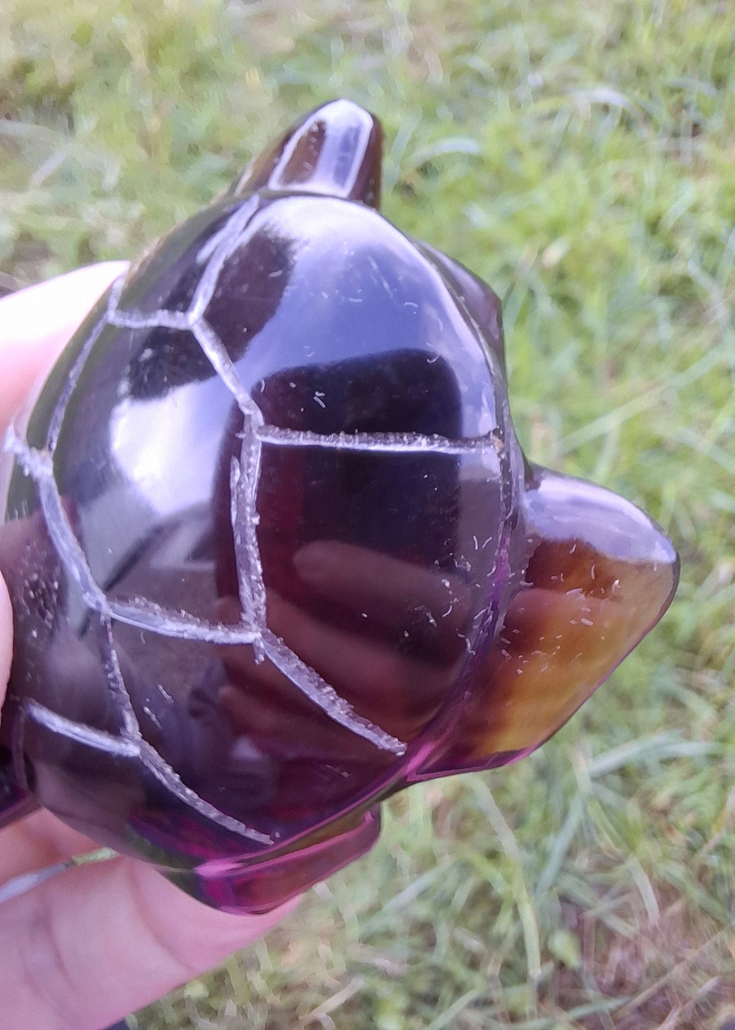 Red Amber Turtle, 47.85g, Carving, Fossil (Ref: TT4)