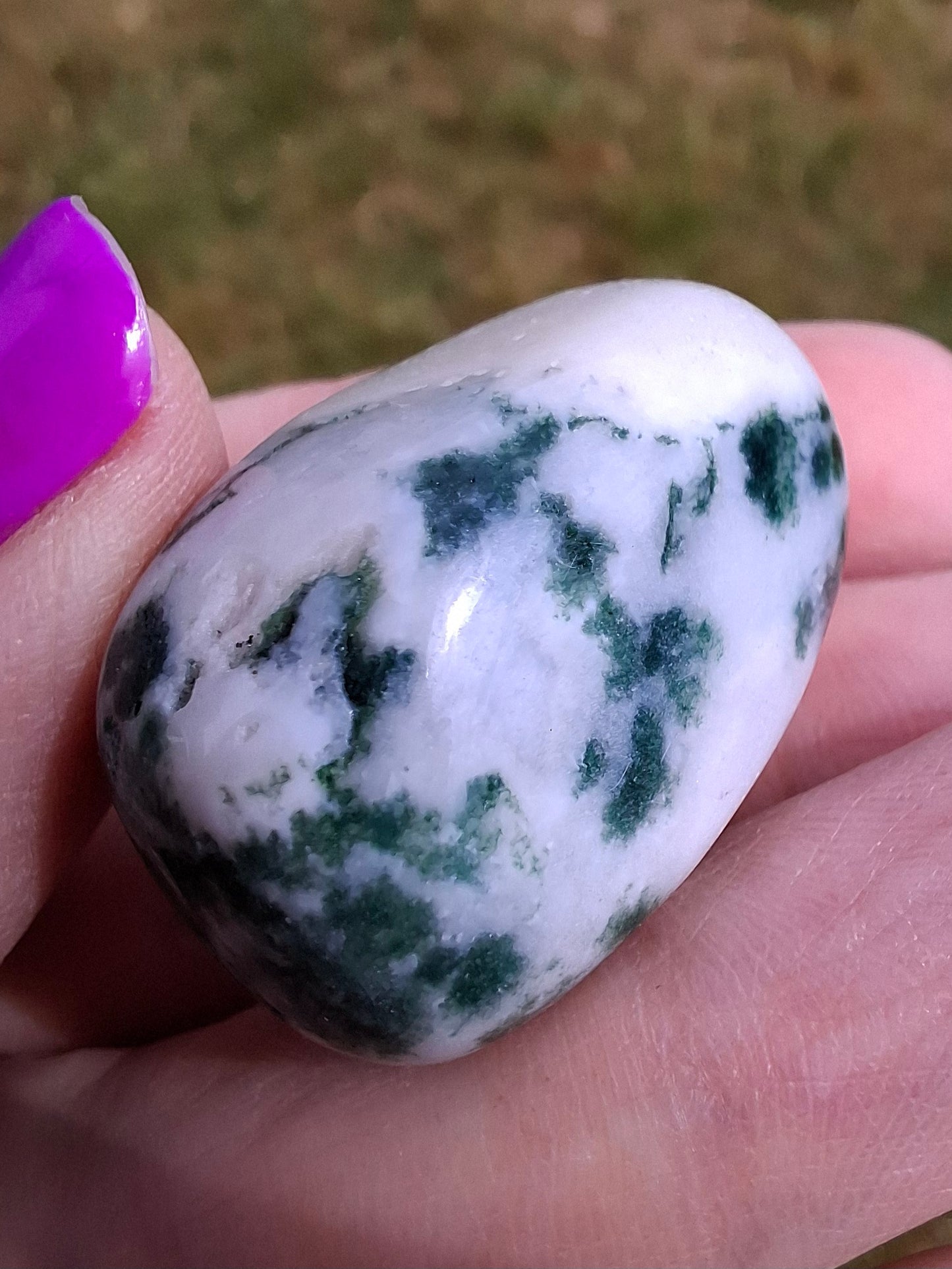 Tree Agate, Tumble Stone, Crystal (Ref: T1)