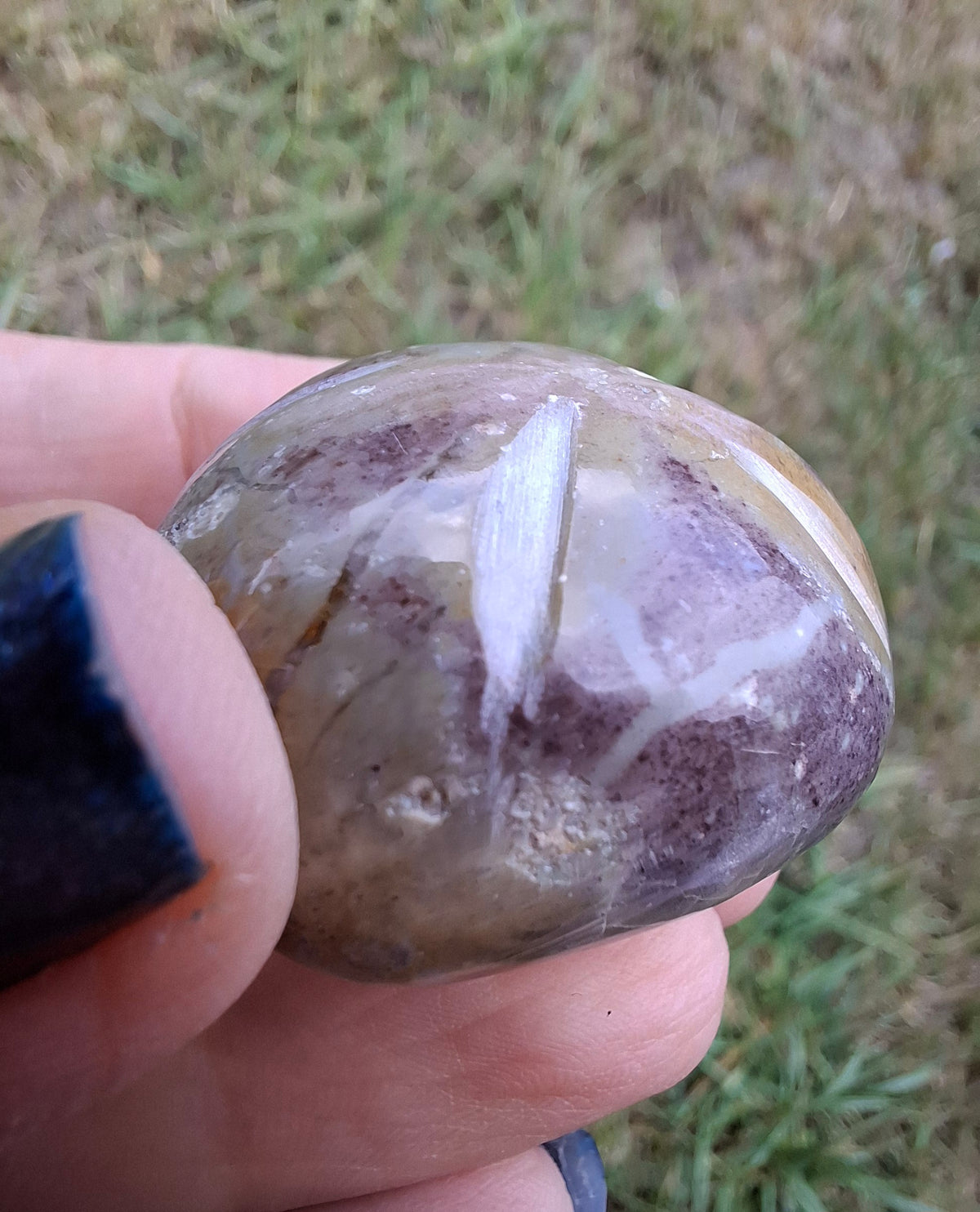 Polished Sea Urchin, Fossil (Ref: SU6)