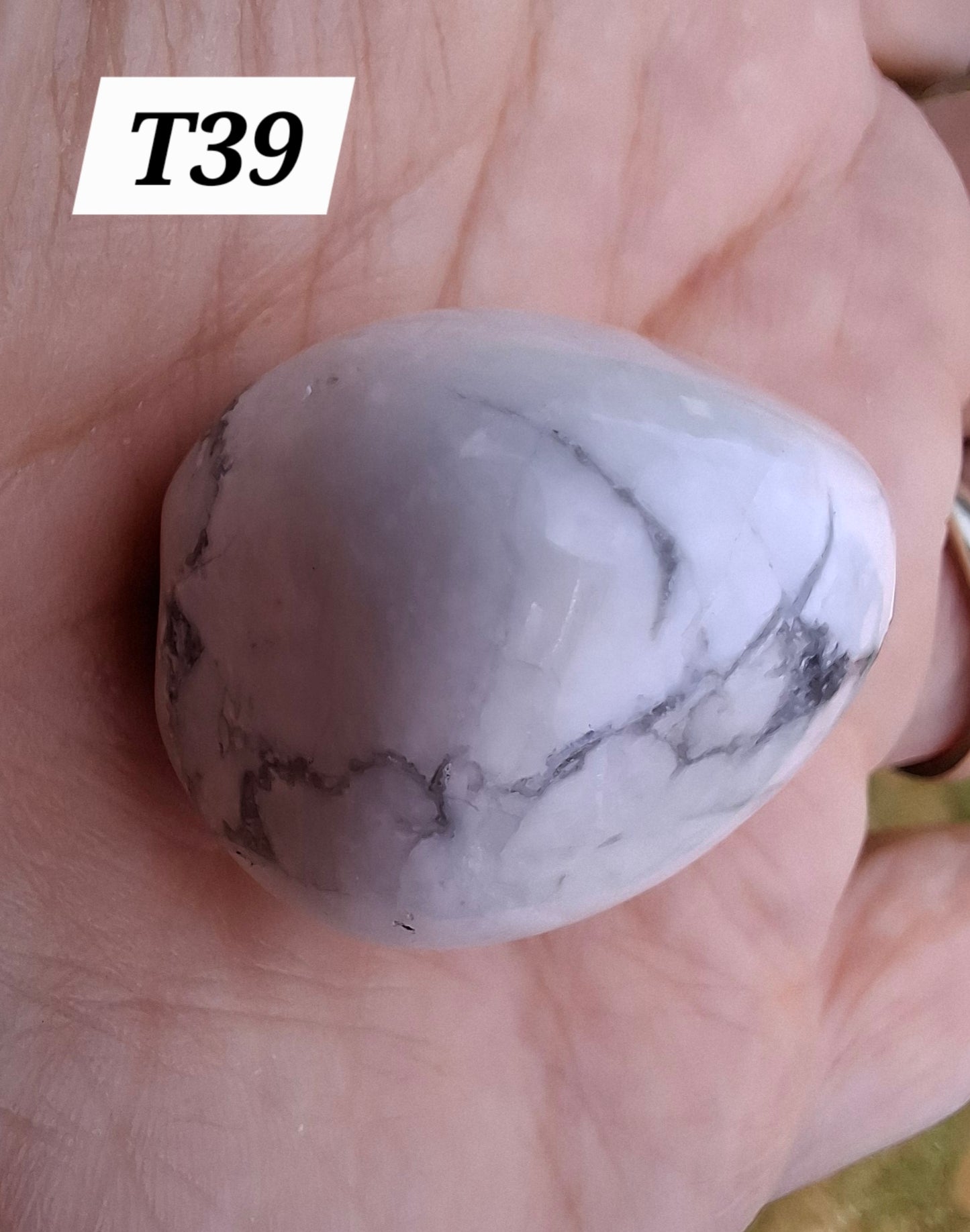 Howlite, Tumble Stone, Crystal (Ref: T39)