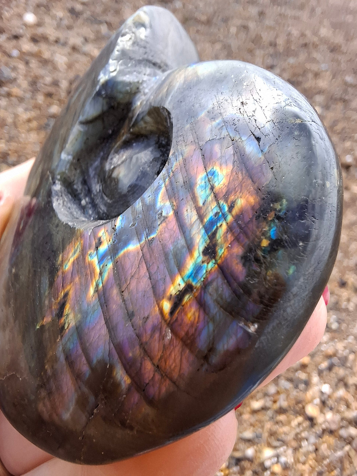 Labradorite Ammonite Carving, 153.97g, Crystal (Ref: laba2)