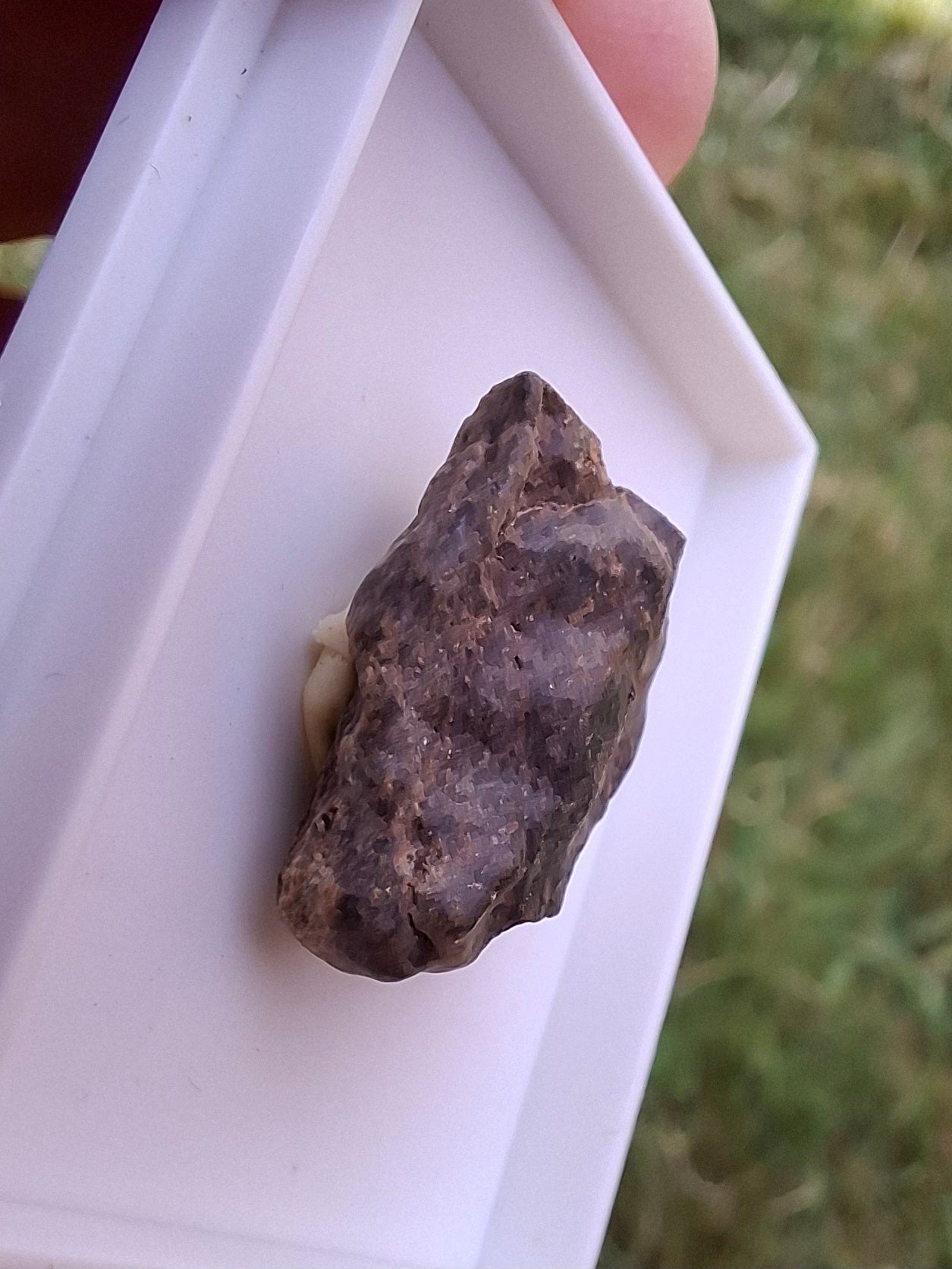Chondrite, Meteorite (Ref: CM10)