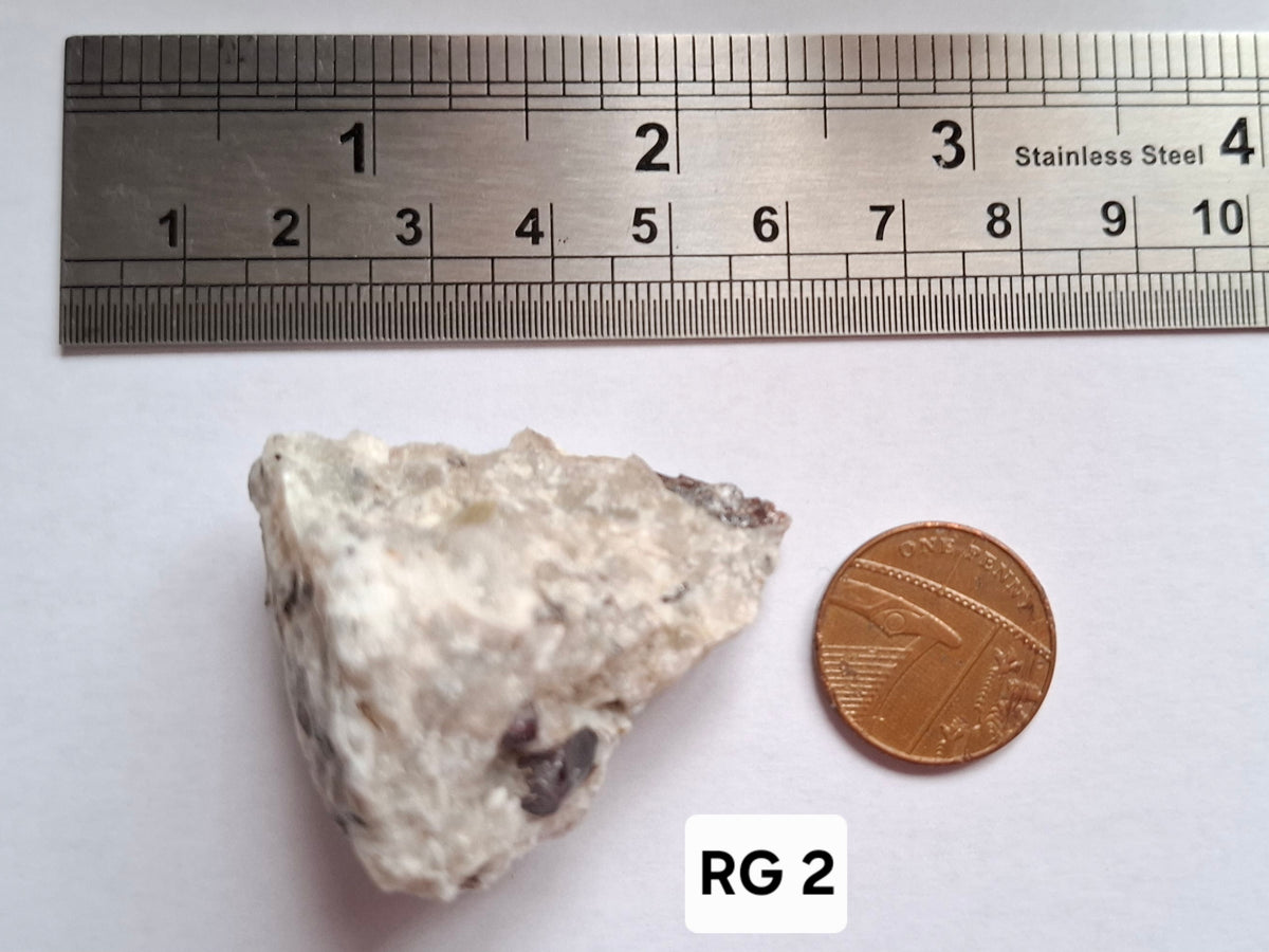 (Dig your own) Garnet in Matrix, Crystal (Ref: RG2)