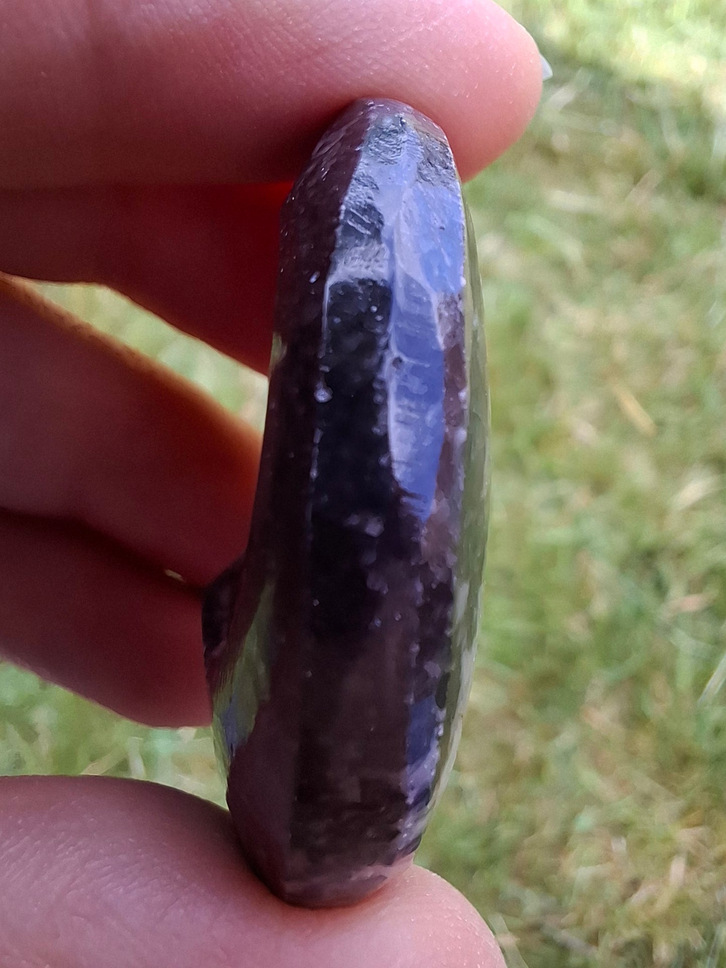 Goniatite, Fossil (Ref: GA7)