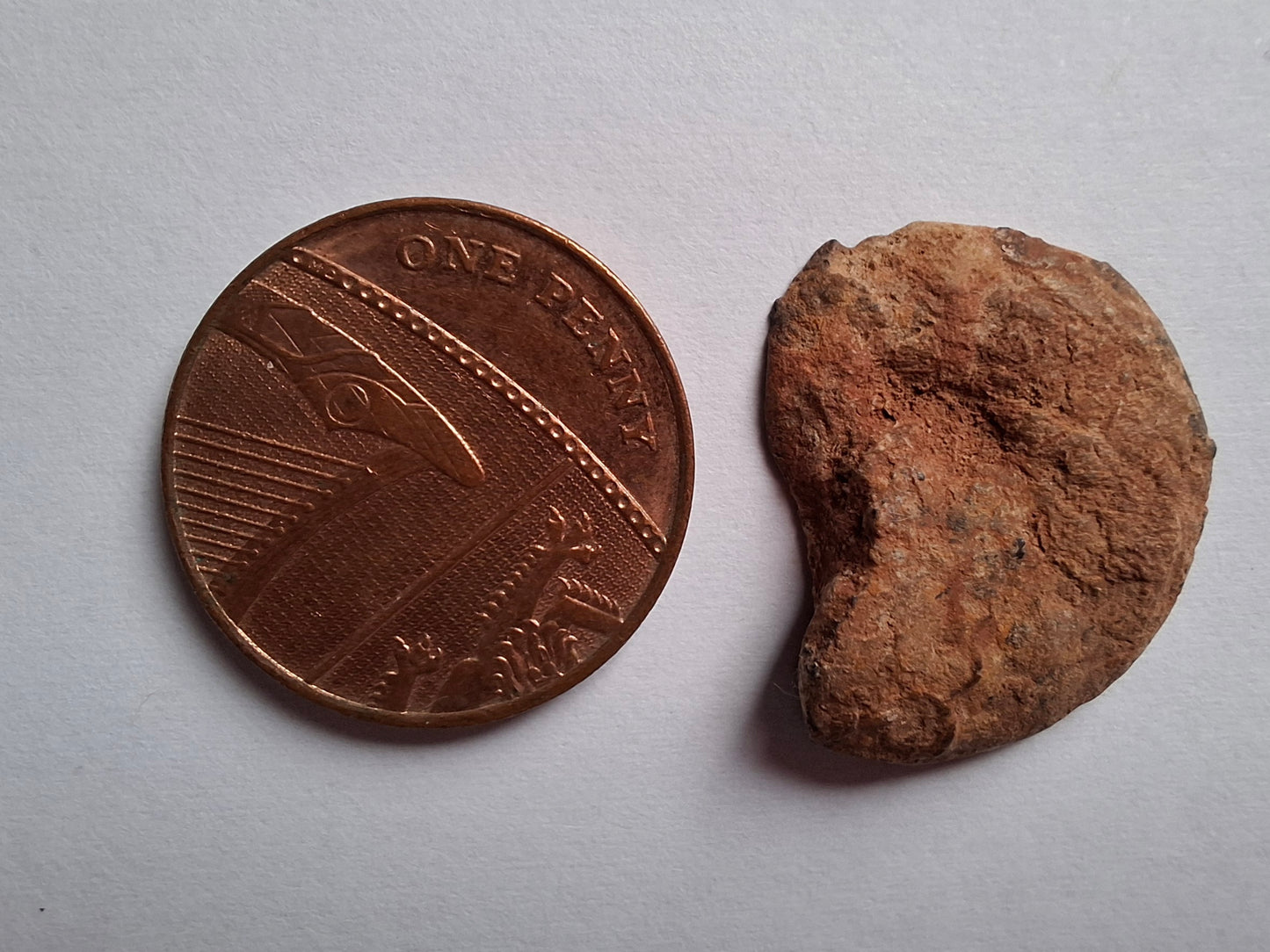 Small Haematite Ammonite HALF, 2.59g, Fossil (Ref: MA7)