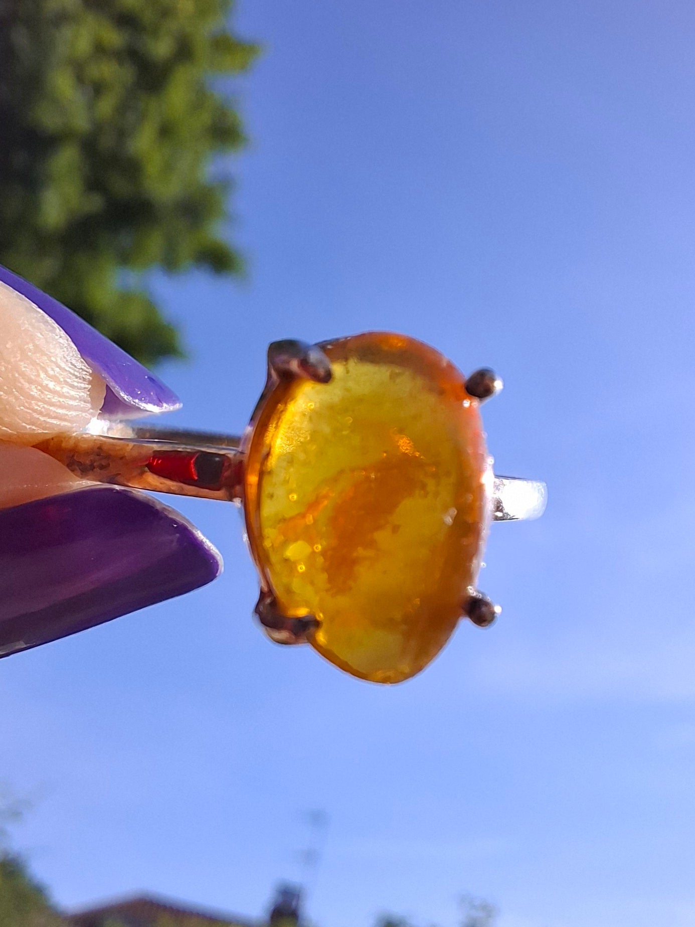 Baltic Amber Ring, size large Y, 925 Silver, Fossil (Ref: AR38)