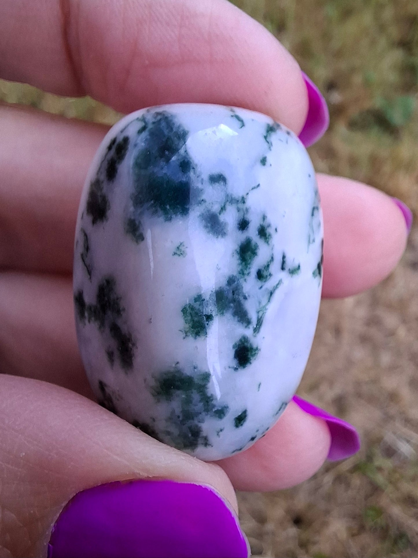 Tree Agate, Tumble Stone, Crystal (Ref: T1)