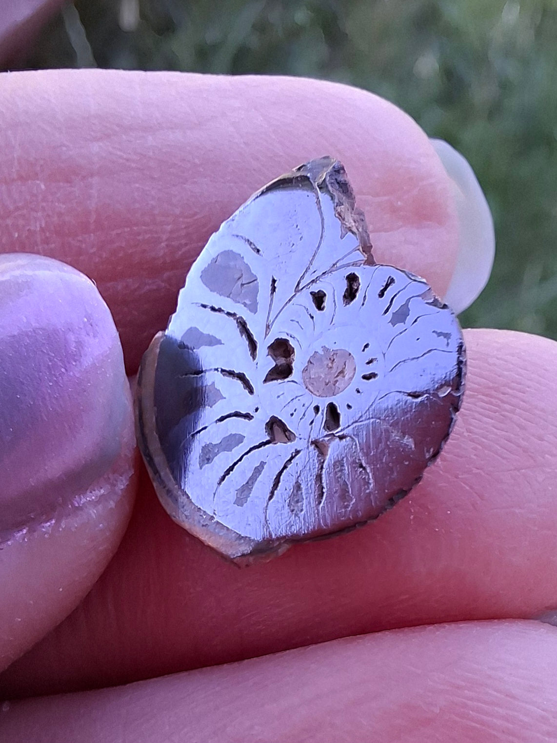 Small Haematite Ammonite HALF, 1.32g, Fossil (Ref: MA5)