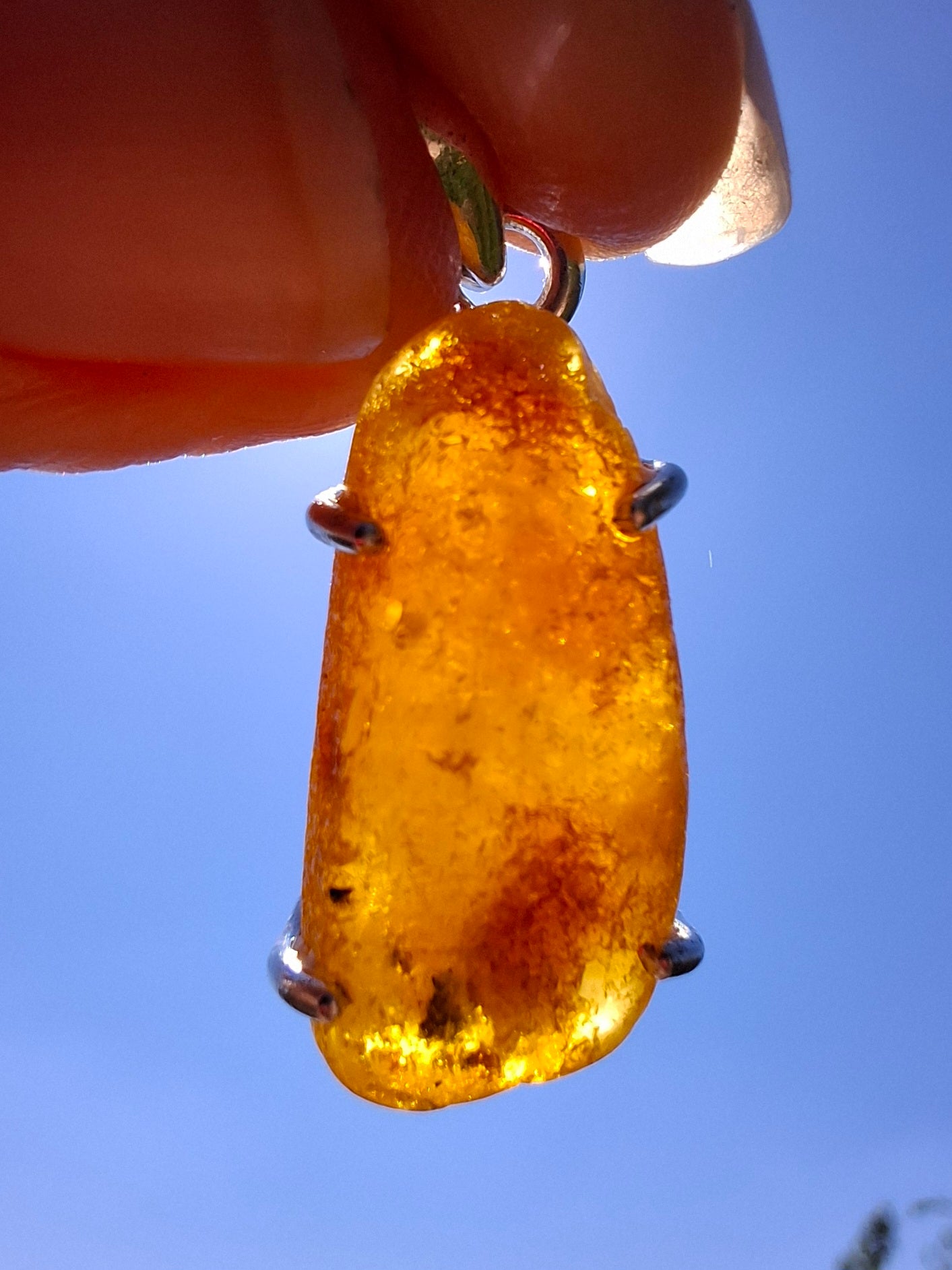 Baltic Amber Pendant, 925 Silver, Fossil (Ref: AP8)