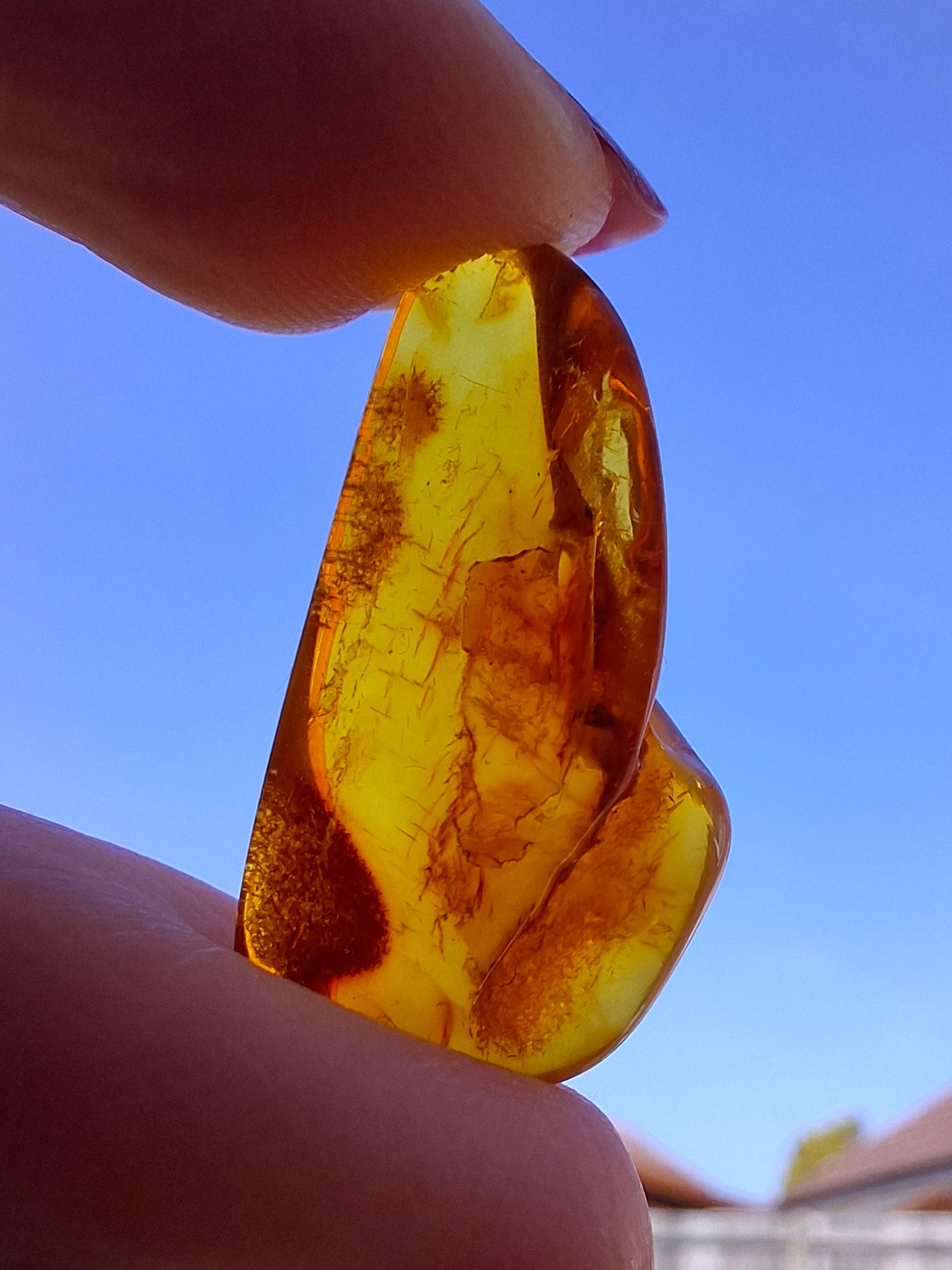 Baltic Amber, 1.48g, Fossil (Ref: A221)