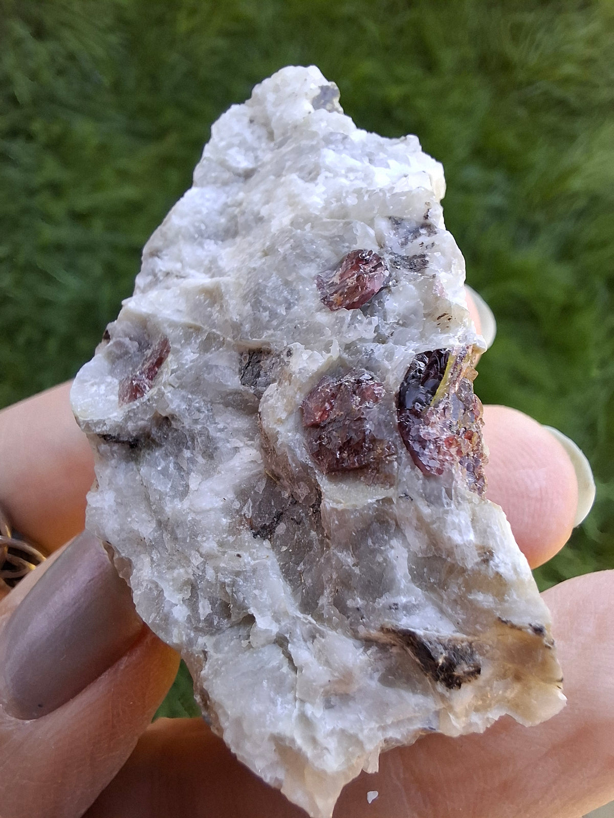 (Dig your own) Garnet in Matrix, Crystal (Ref: RG3)