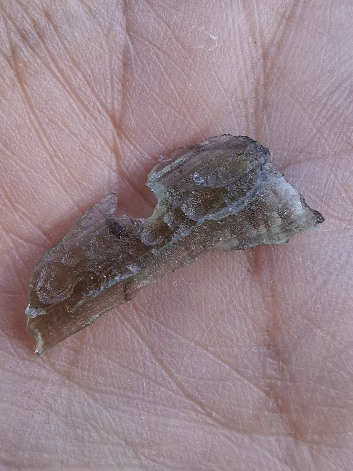 Moldavite Piece, 0.46g, Tektite (Ref: 1521)