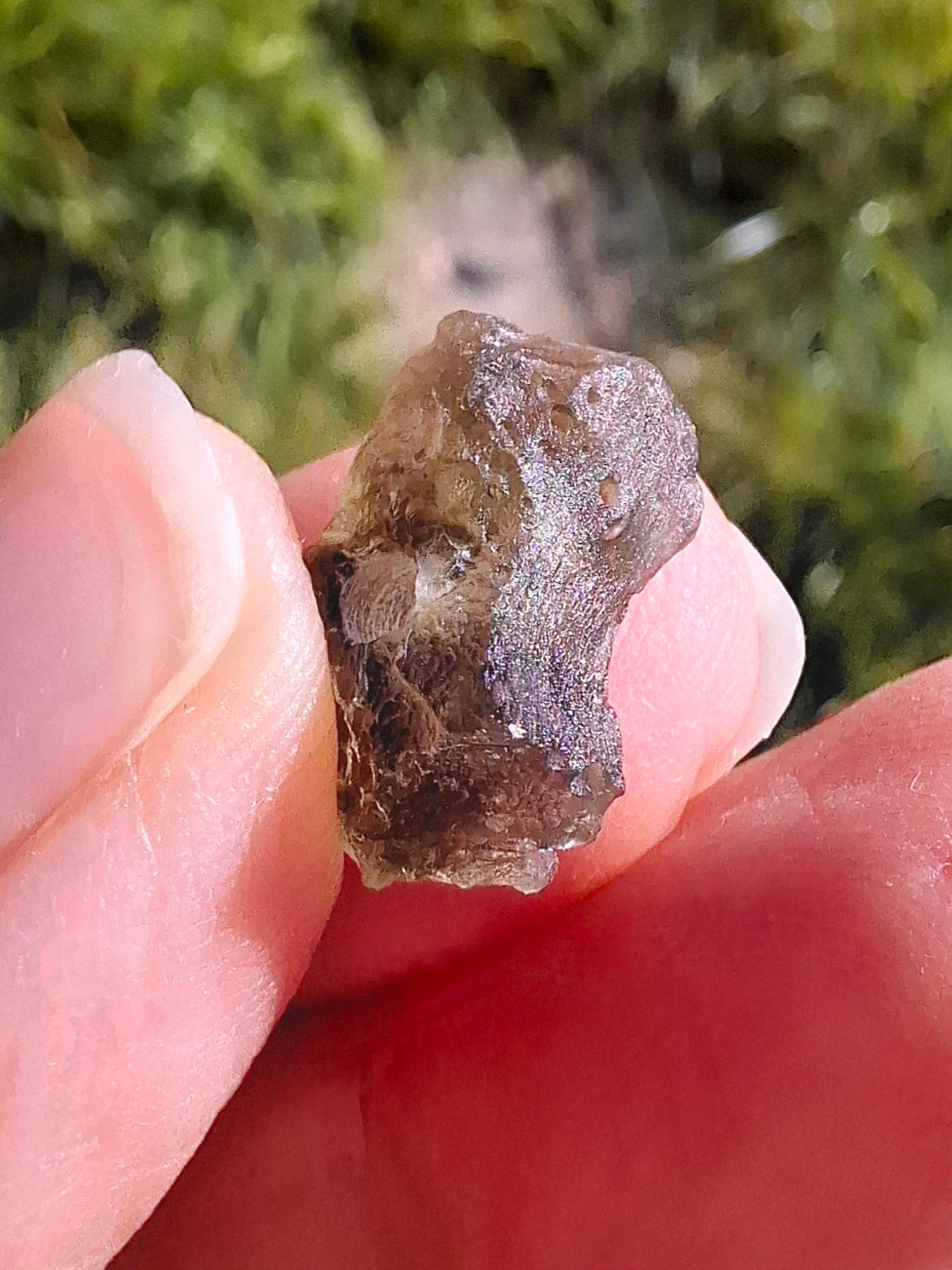 DRILLED Moldavite Piece, 1g, Tektite (Ref: D12)