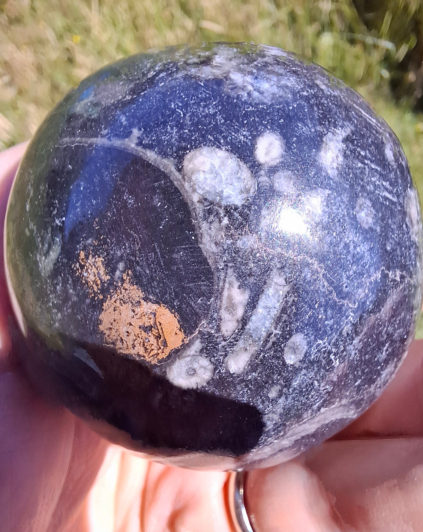 Orthoceras Sphere, Fossil (Ref: OS3)