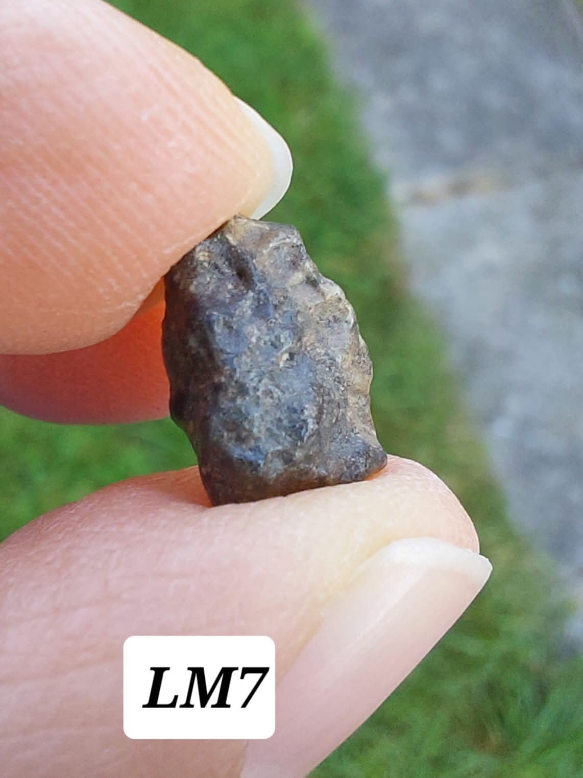 Lunar Meteorite, 0.83g, 'Moon Rock' (Ref: LM7)