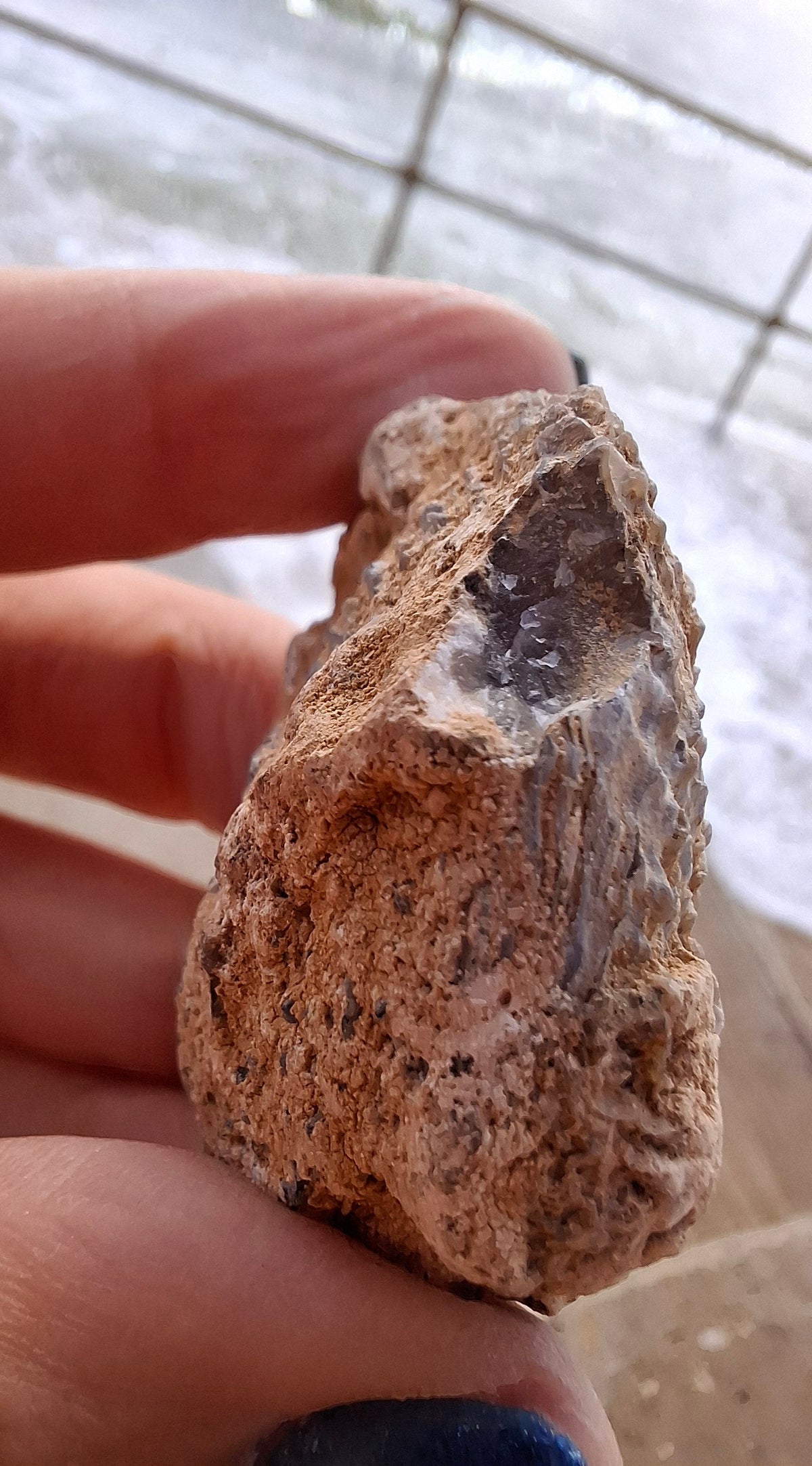 Chalcedony Oyster, Fossil (Ref: FO2)