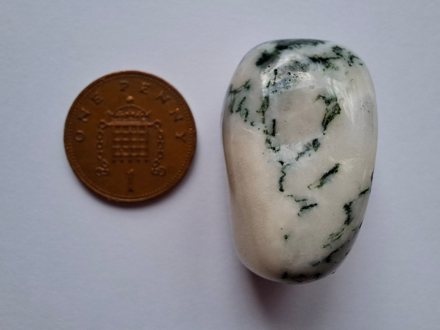 Tree Agate, Tumble Stone, Crystal (Ref: T1)