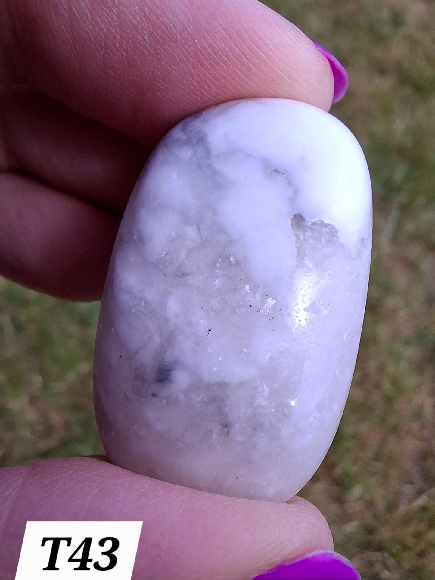 Howlite, Tumble Stone, Crystal (Ref: T43)
