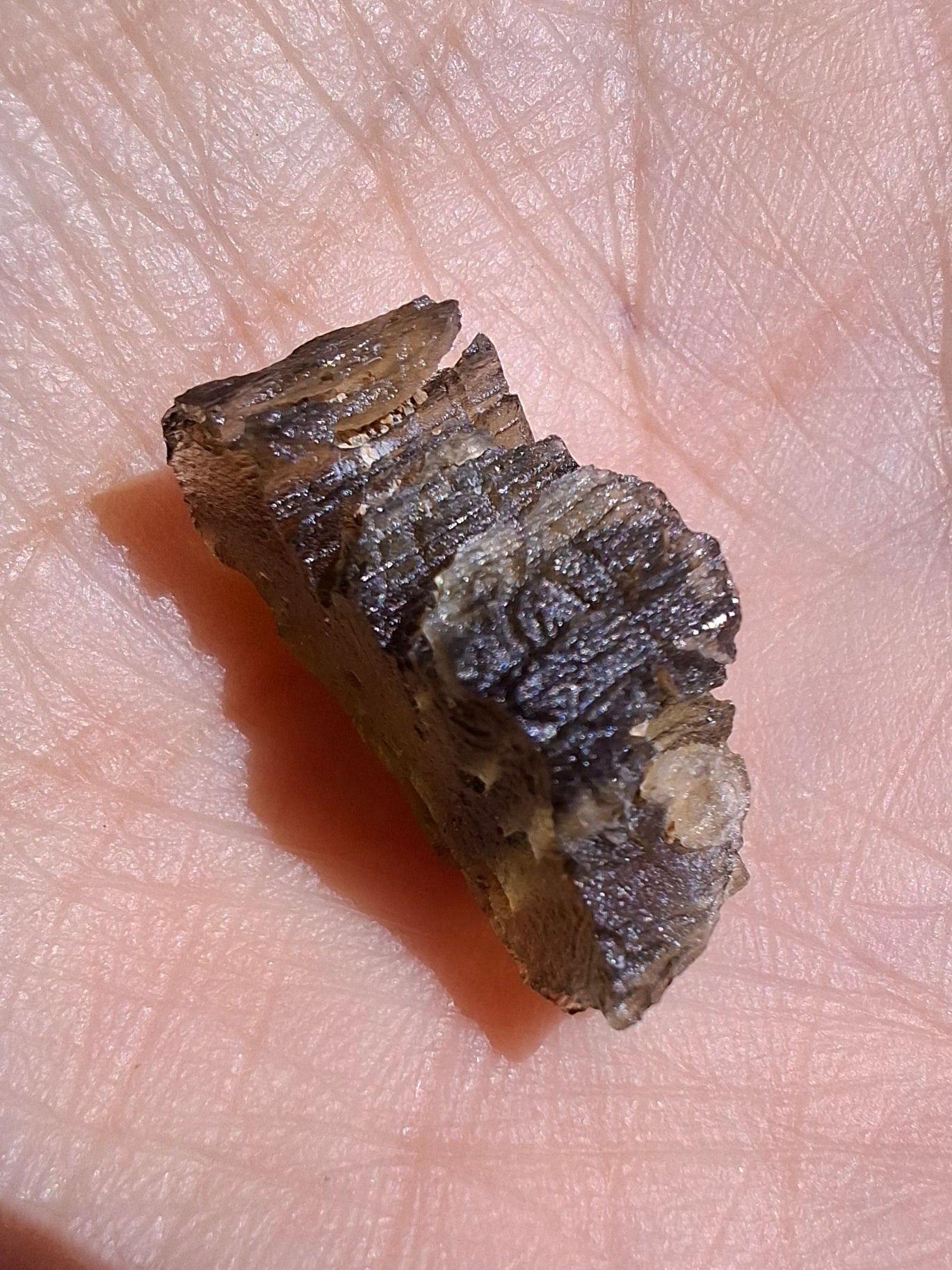 Moldavite Piece, 1.67g, Tektite (Ref: 1423)