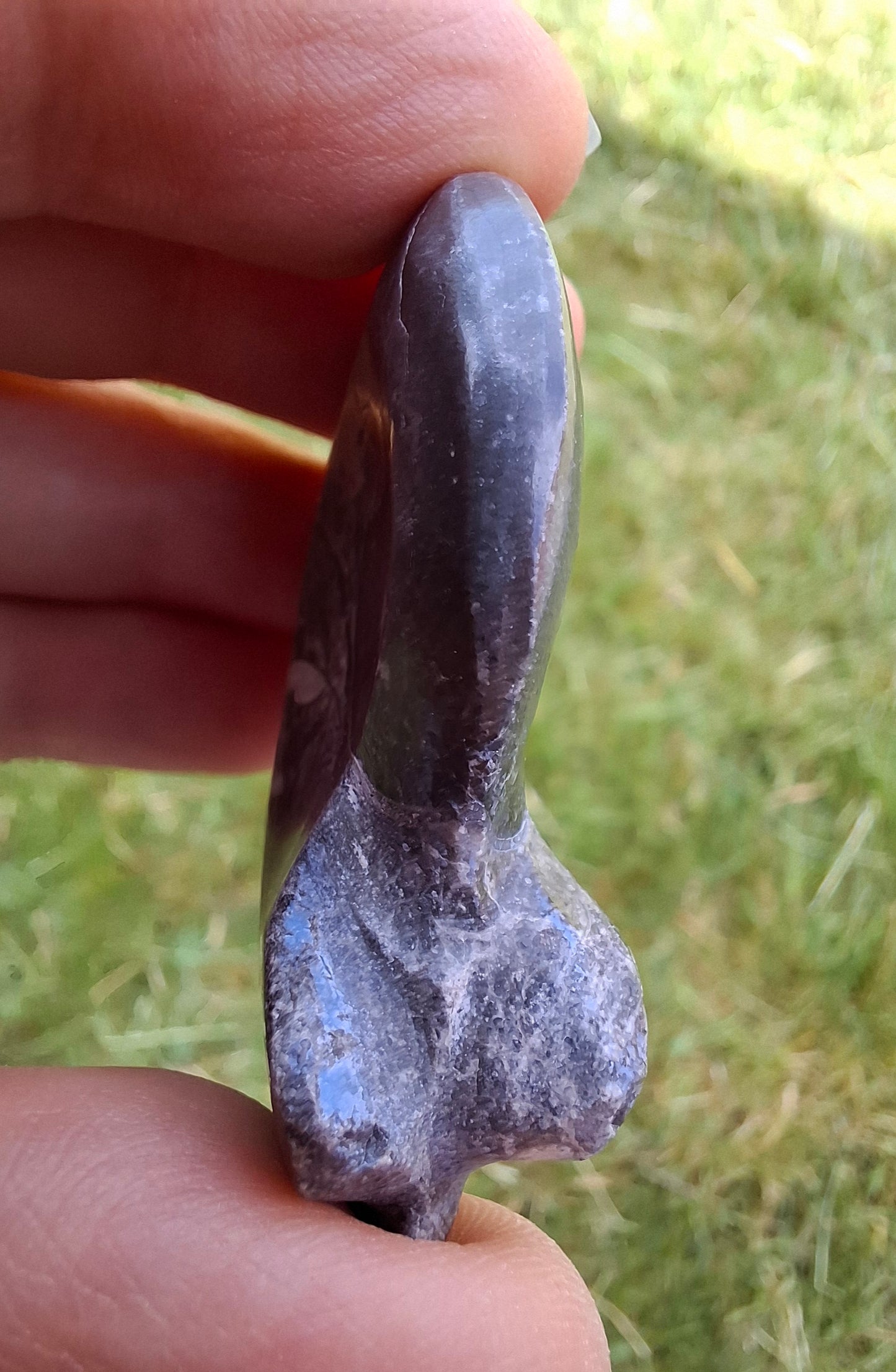 Goniatite, Fossil (Ref: GA9)