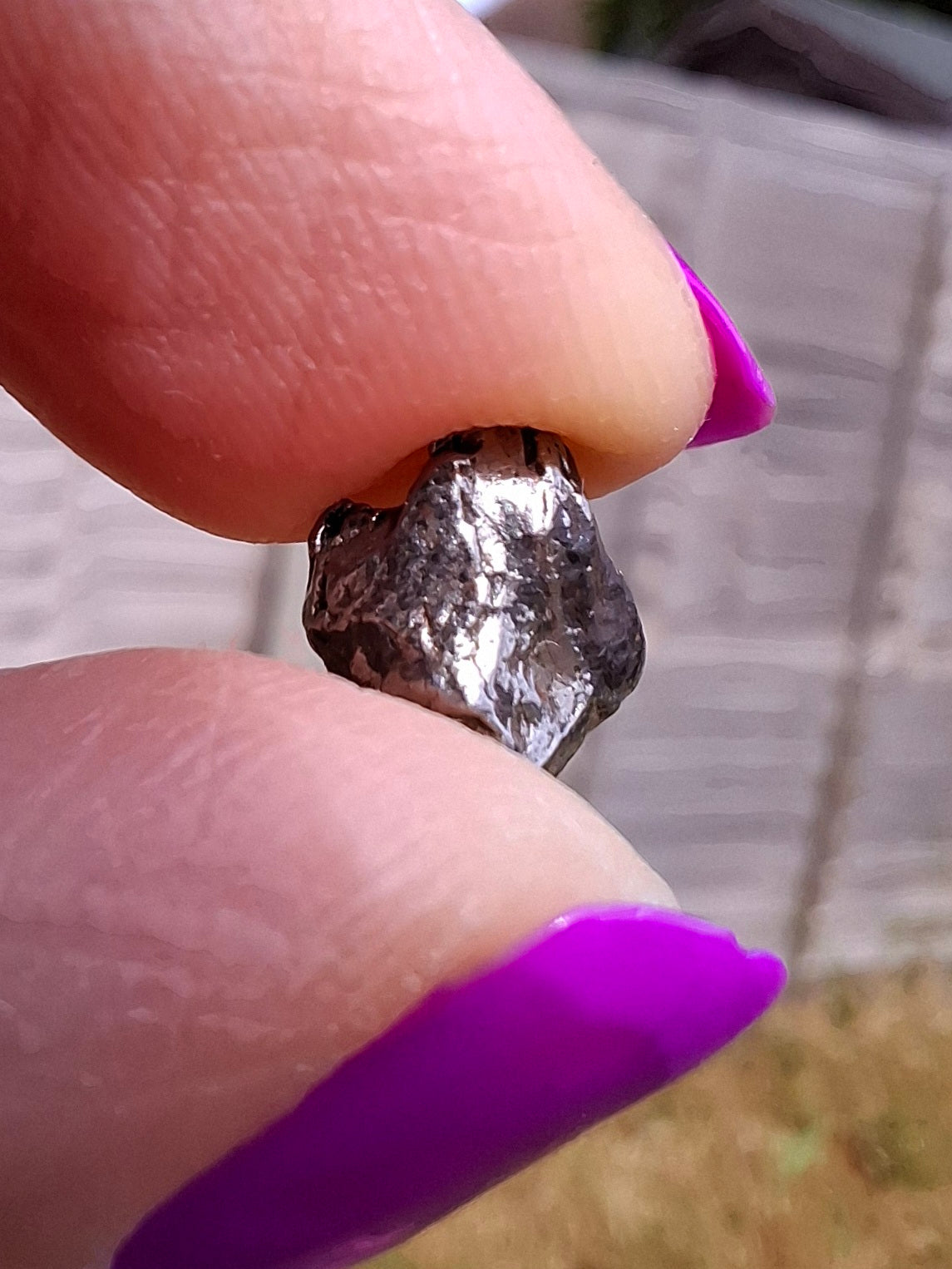 Campo del Cielo, 0.91g, Nickel Iron Meteorite (Ref: C1)