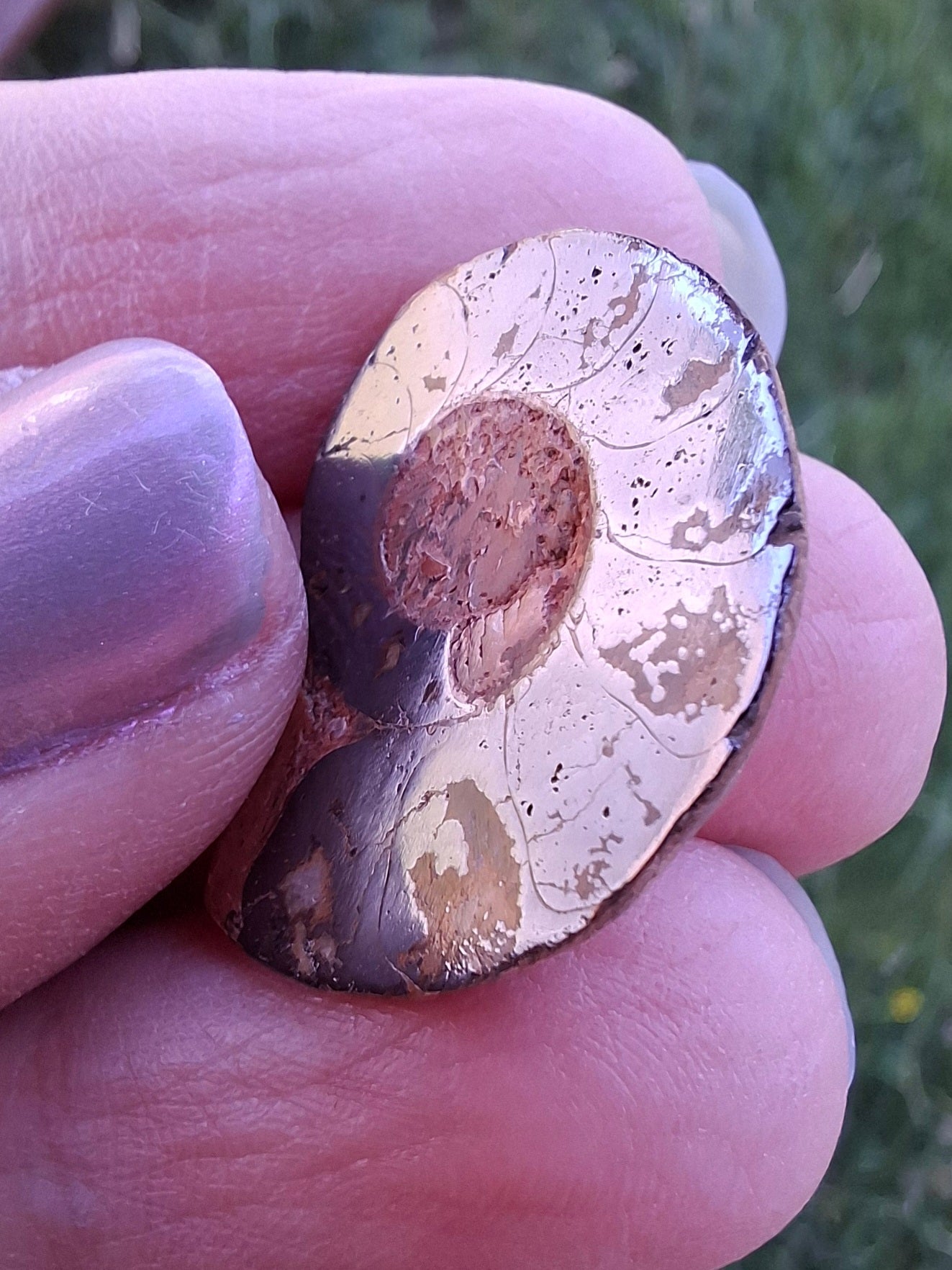 Small Haematite Ammonite HALF, (2.91g), Fossil (Ref: MA1)