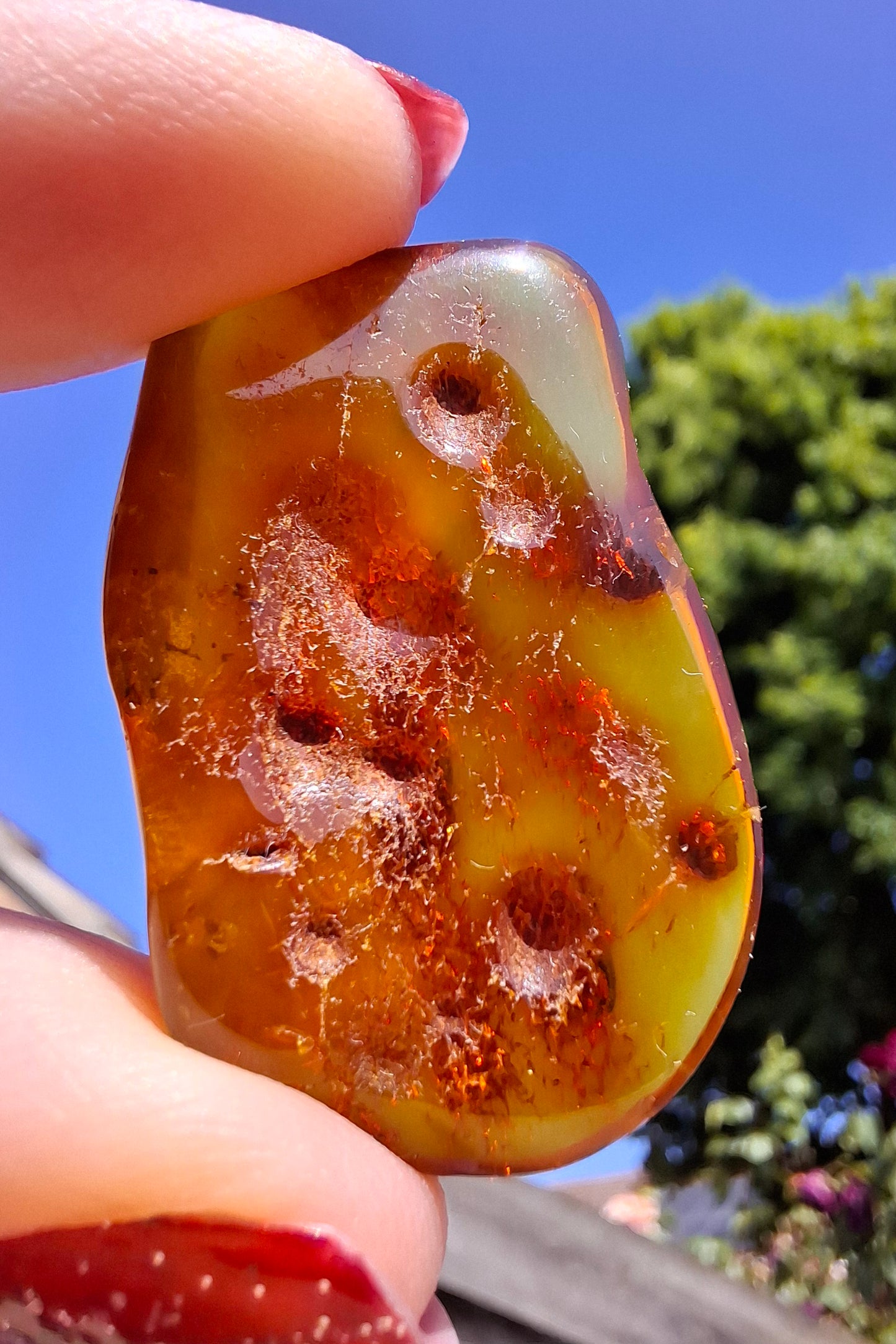 Baltic Amber, 4.50g, Fossil (Ref: A151)