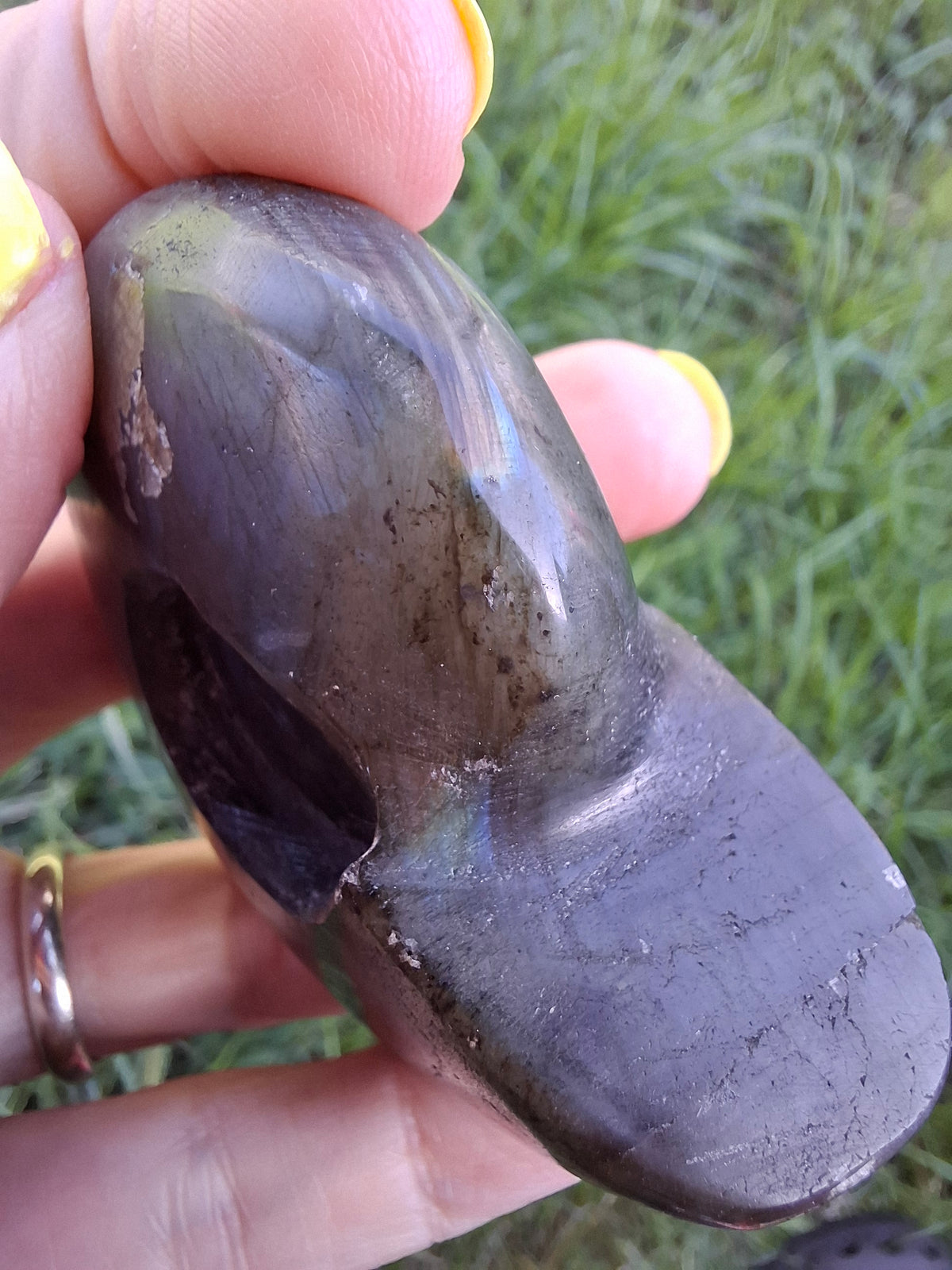 Labradorite Ammonite Carving, 146.90g, Crystal (Ref: laba5)