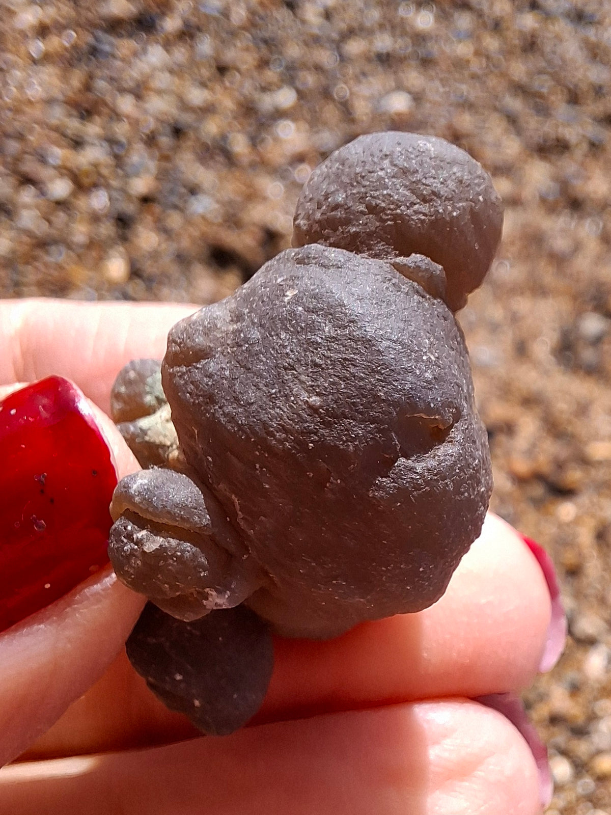 Nebula Chalcedony, 13.55g, Fossil (Ref: NC8)
