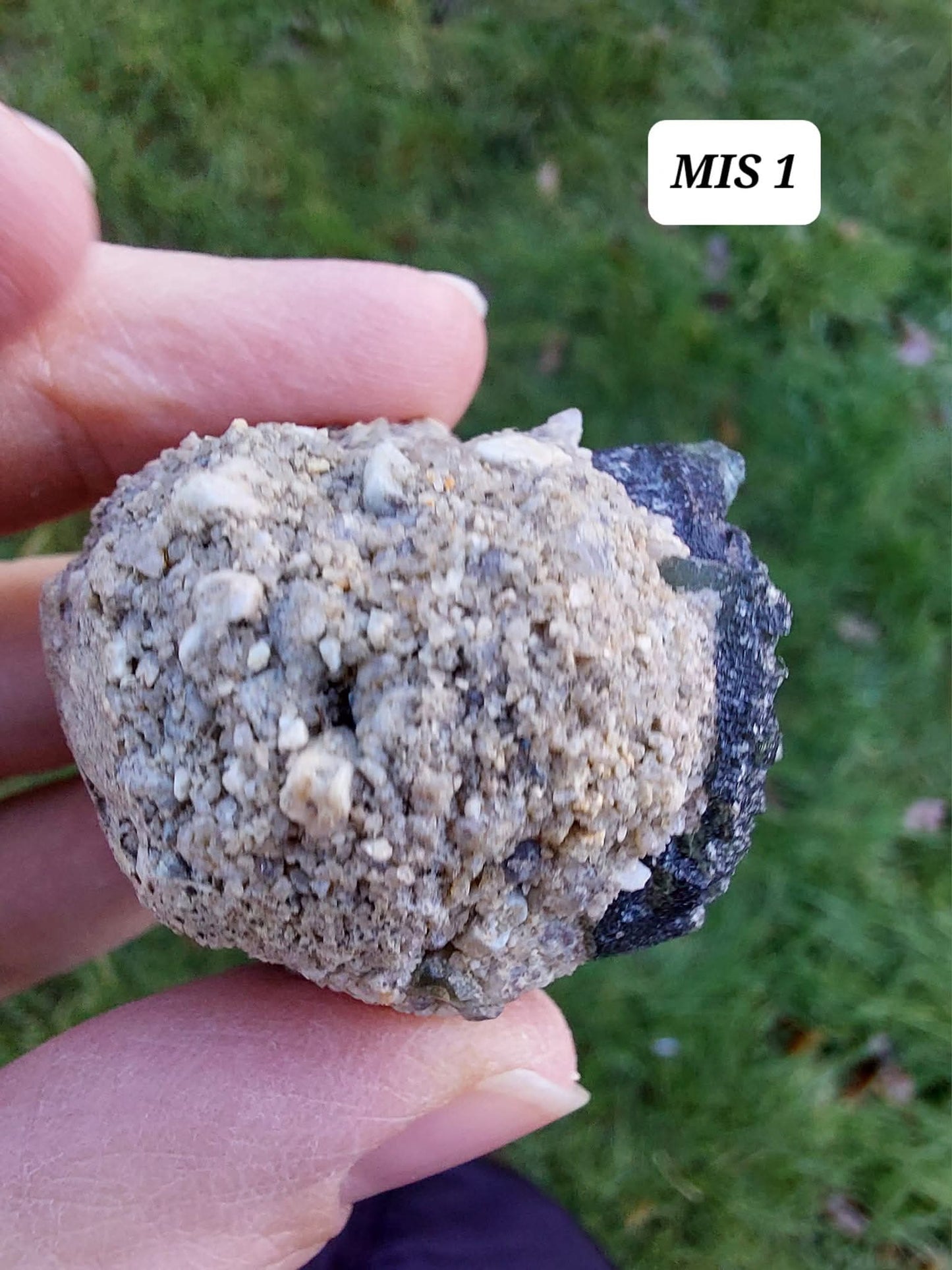 Moldavite In-Situ (in matrix), Besednice, Est-13g, Tektite (Ref: MIS1)