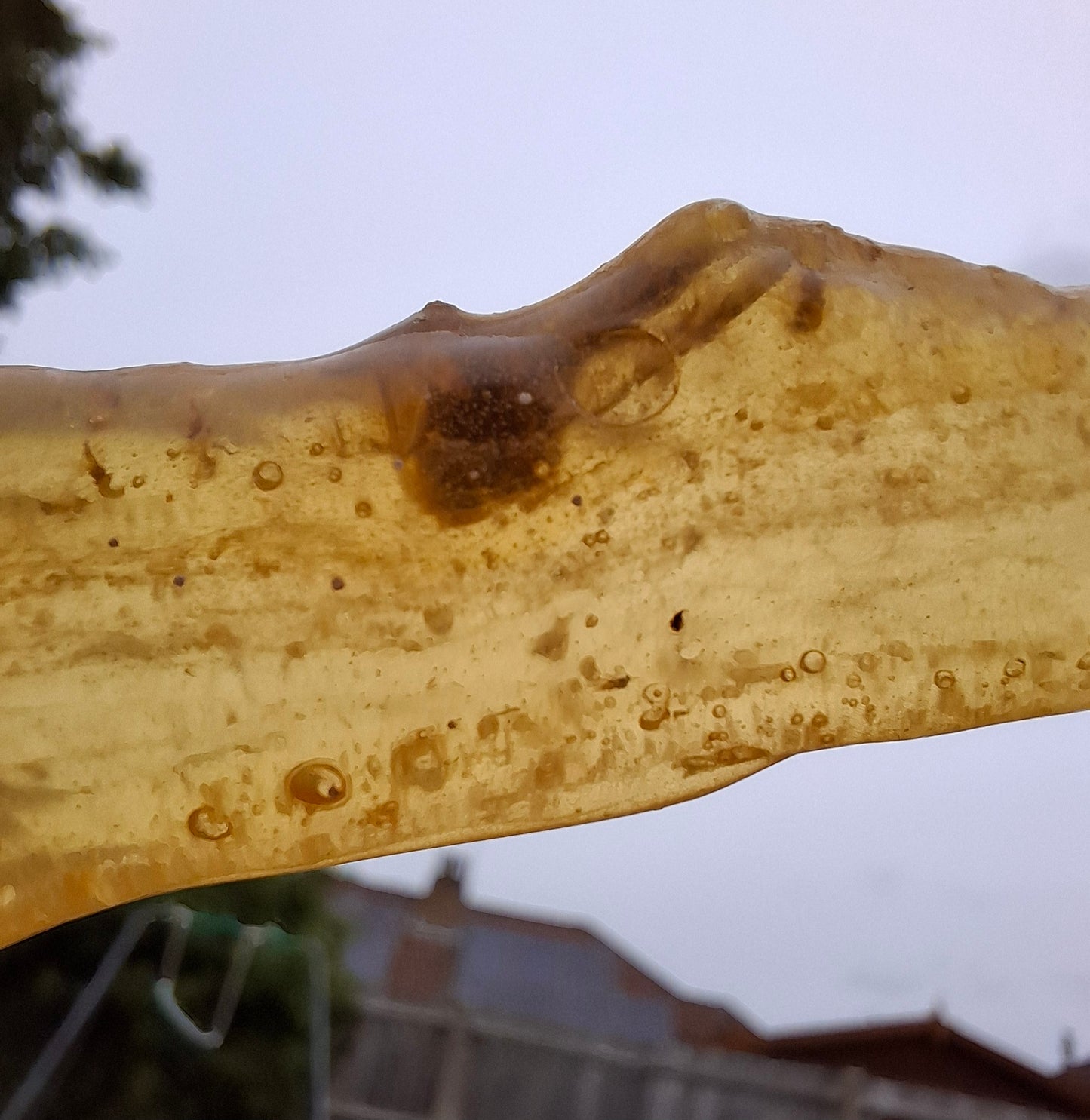 Copal Young Amber with INSECTS inside, 18.29g, Fossil (Ref: CA33)