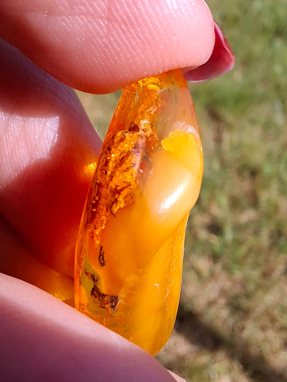 Baltic Amber, 1.68g, Fossil (Ref: A233)