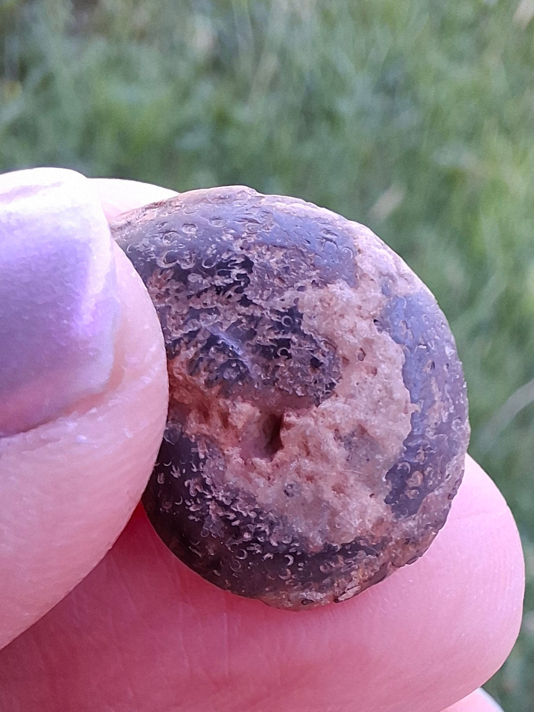 Small Haematite Ammonite HALF, 1.36g, Fossil (Ref: MA12)
