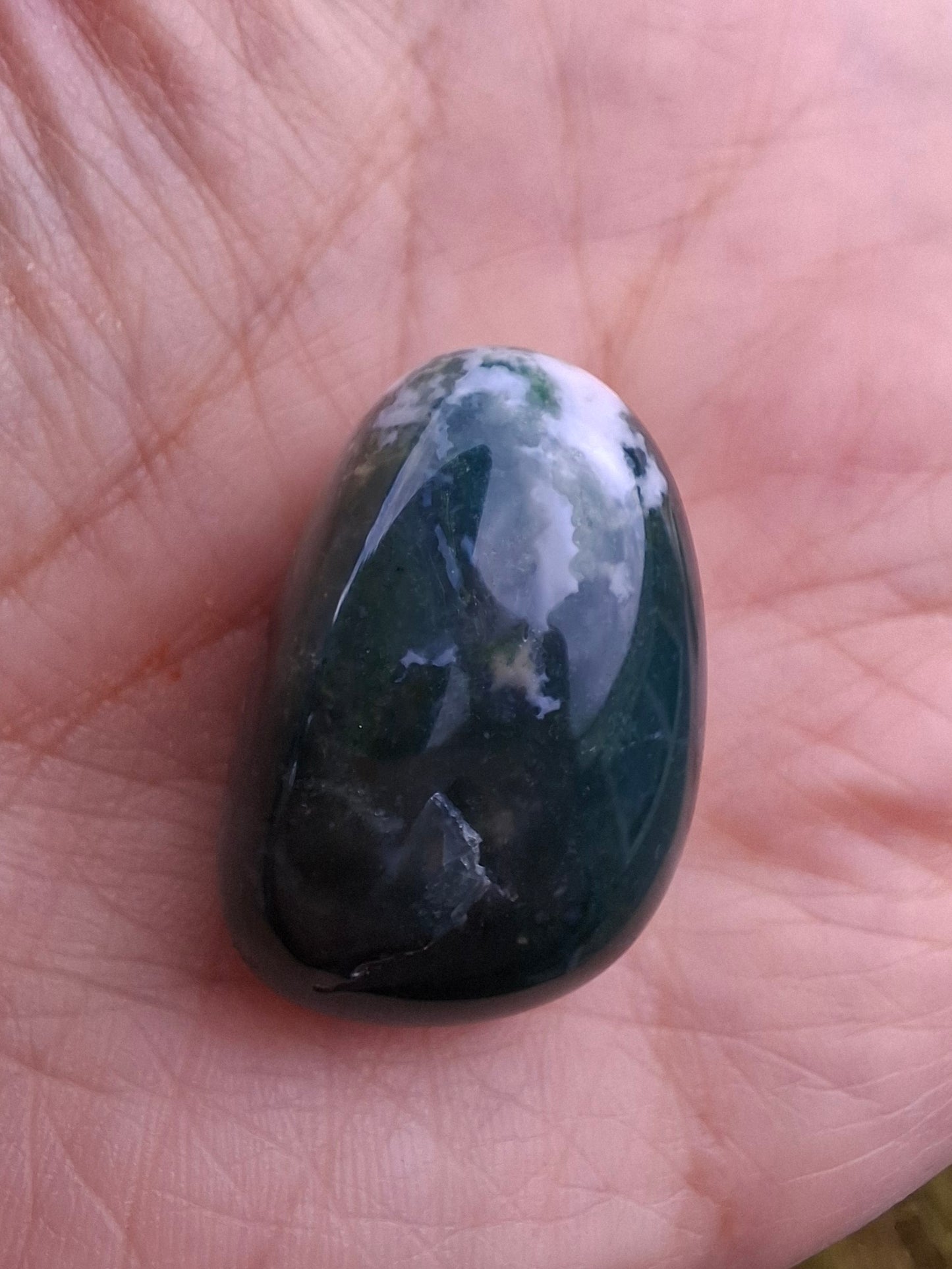 Tree Agate, Tumble Stone, Crystal (Ref: T4)